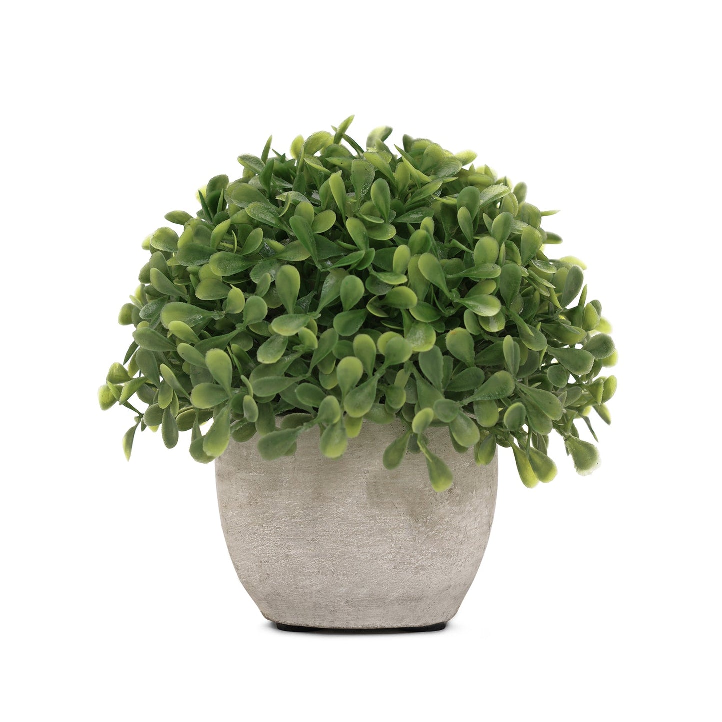 Green Artficial Boxwood Grass with Cement Pot