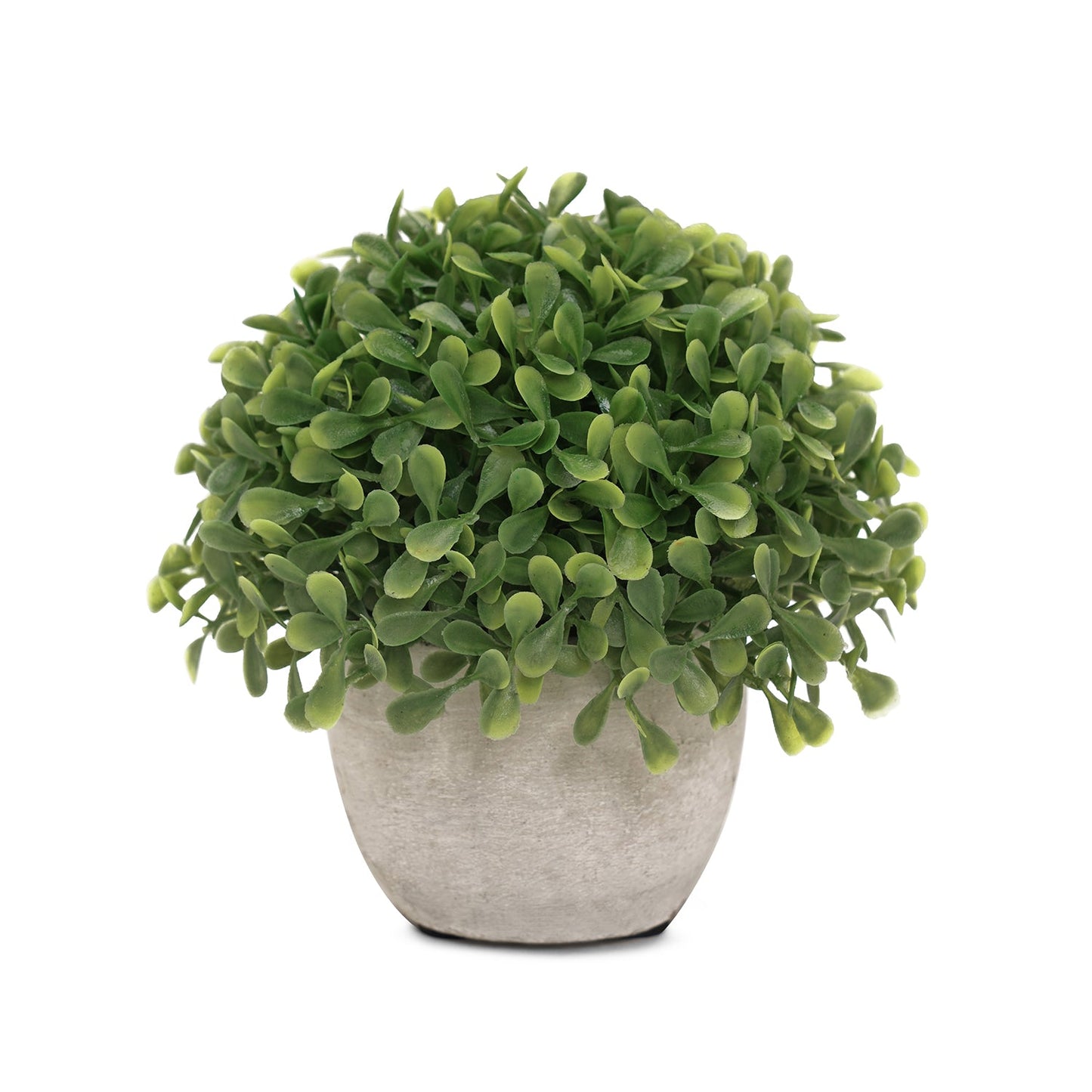 Green Artficial Boxwood Grass with Cement Pot