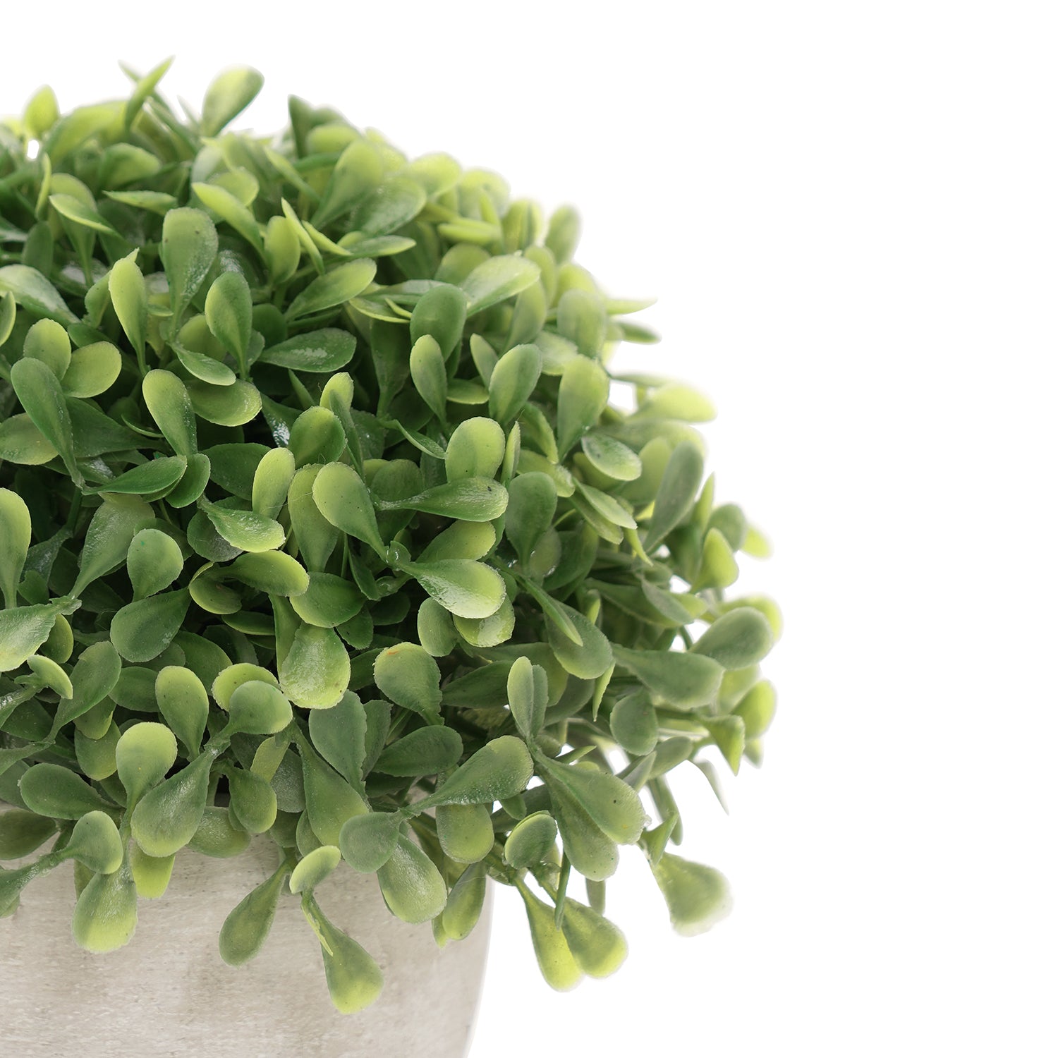 Green Artficial Boxwood Grass with Cement Pot