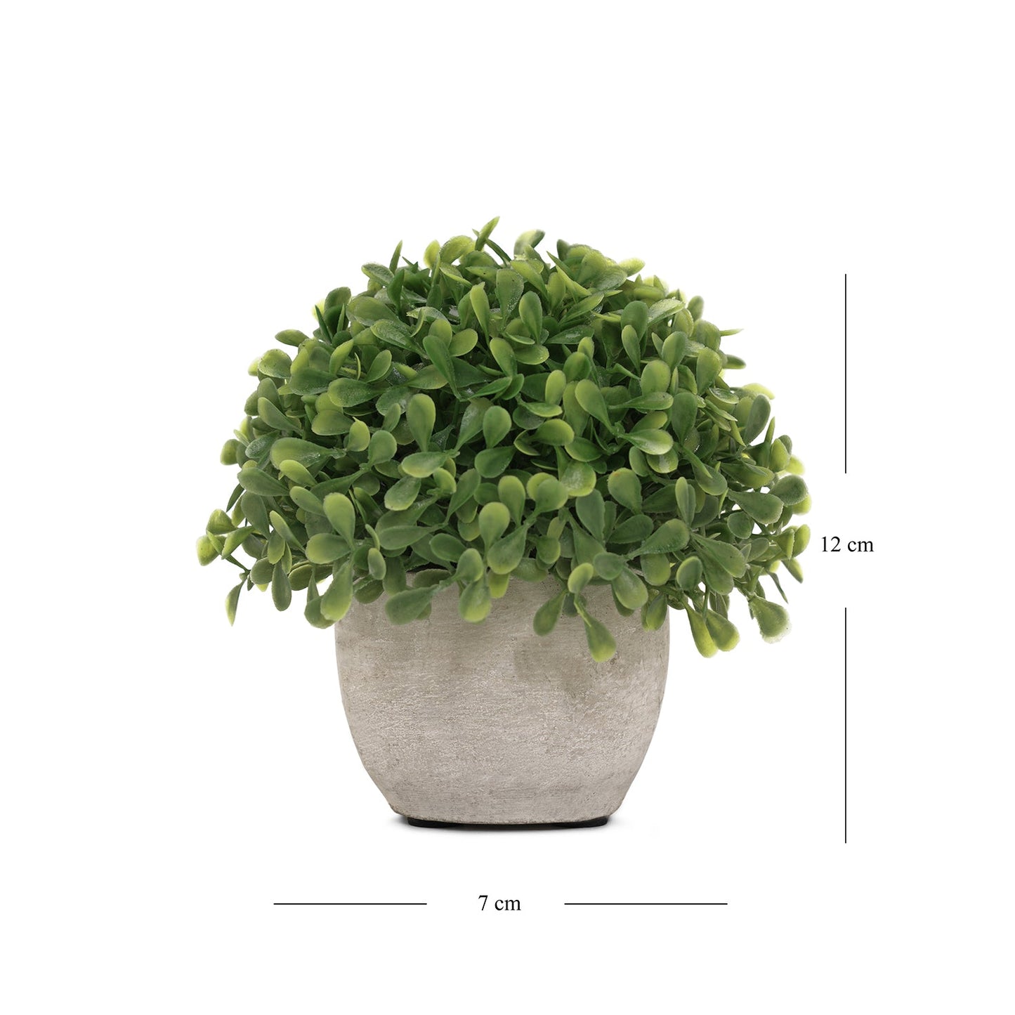 Green Artficial Boxwood Grass with Cement Pot