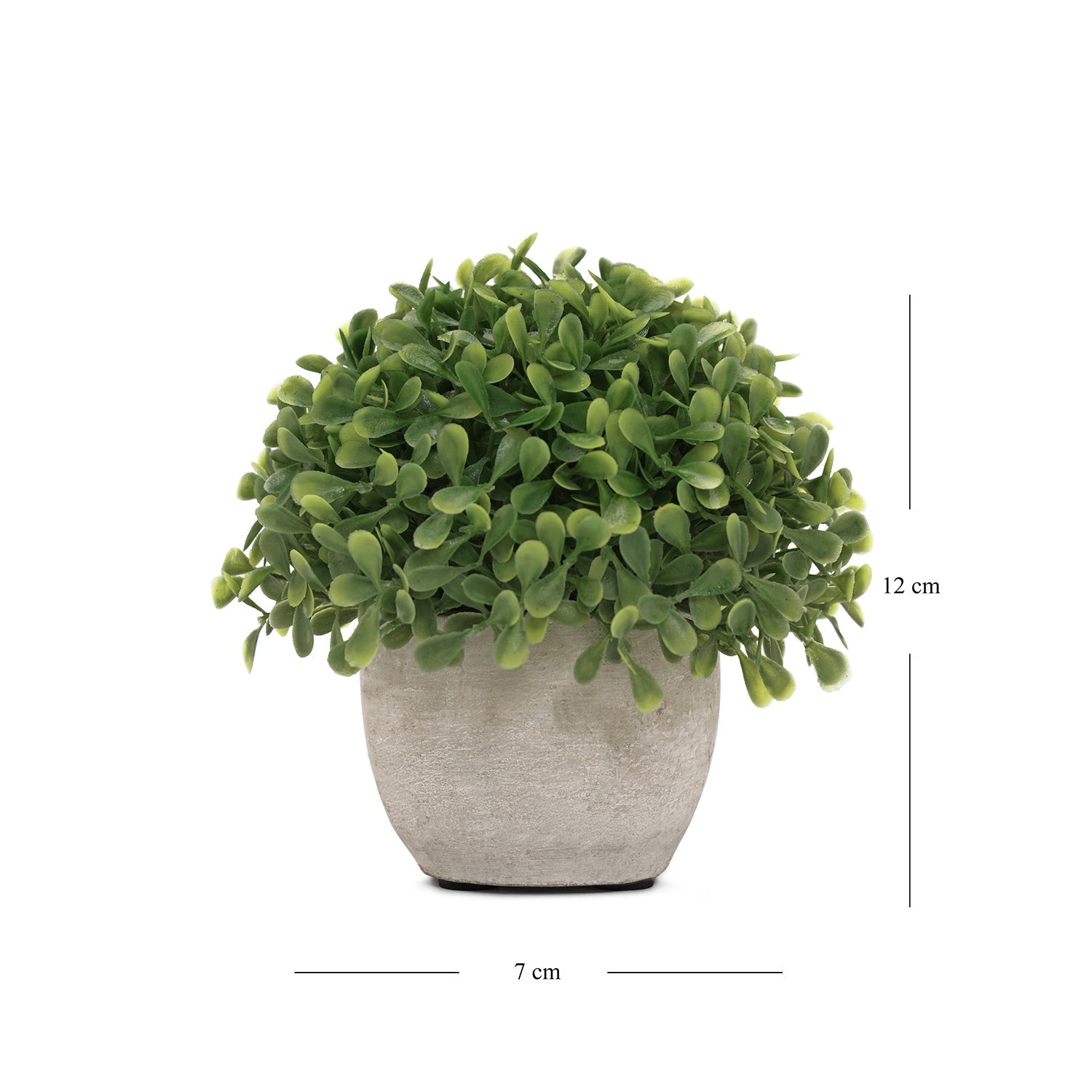 Green Artficial Boxwood Grass with Cement Pot