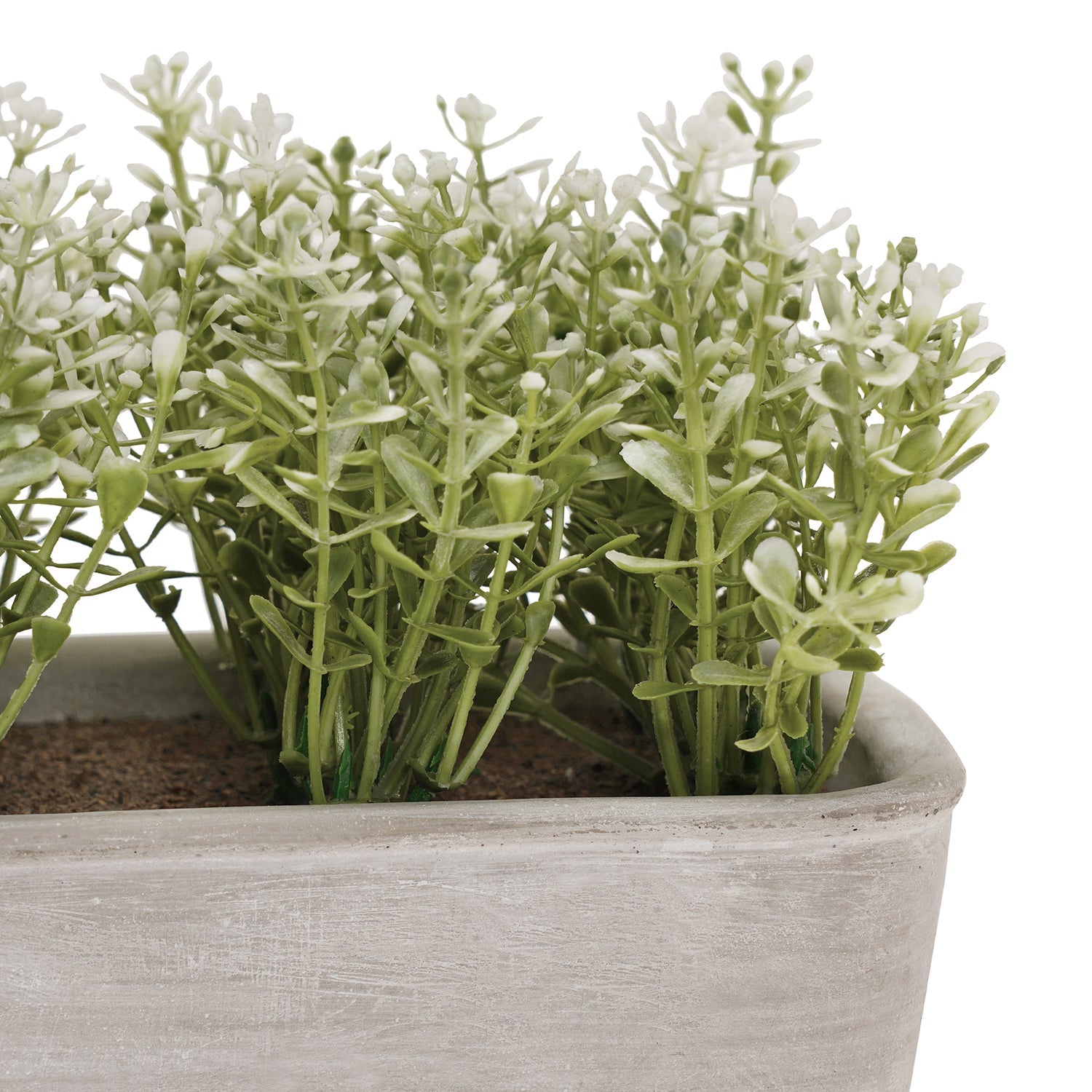 Green Faux Plant With Rectangular Cement Pot