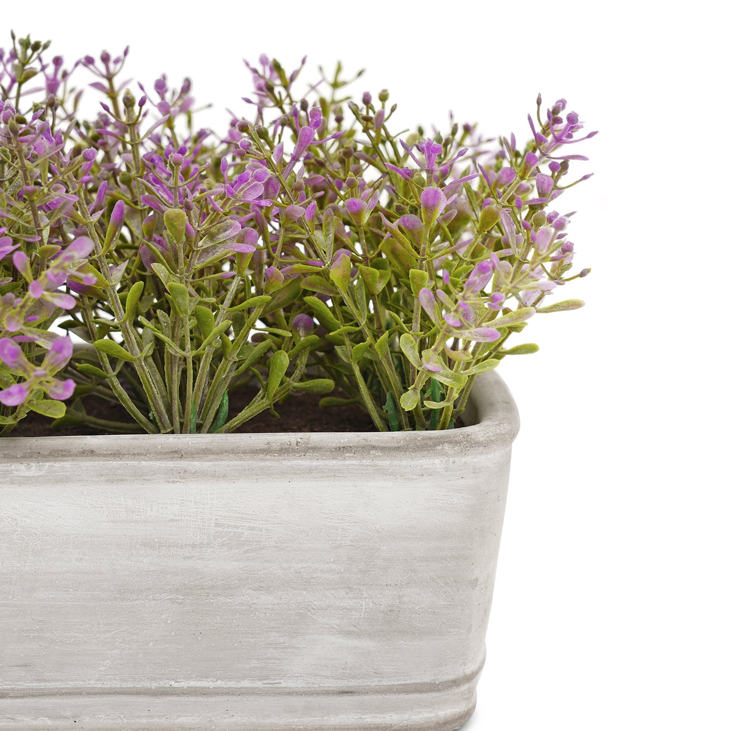 Purple Artificial Plant with Rectangular Cement Pot