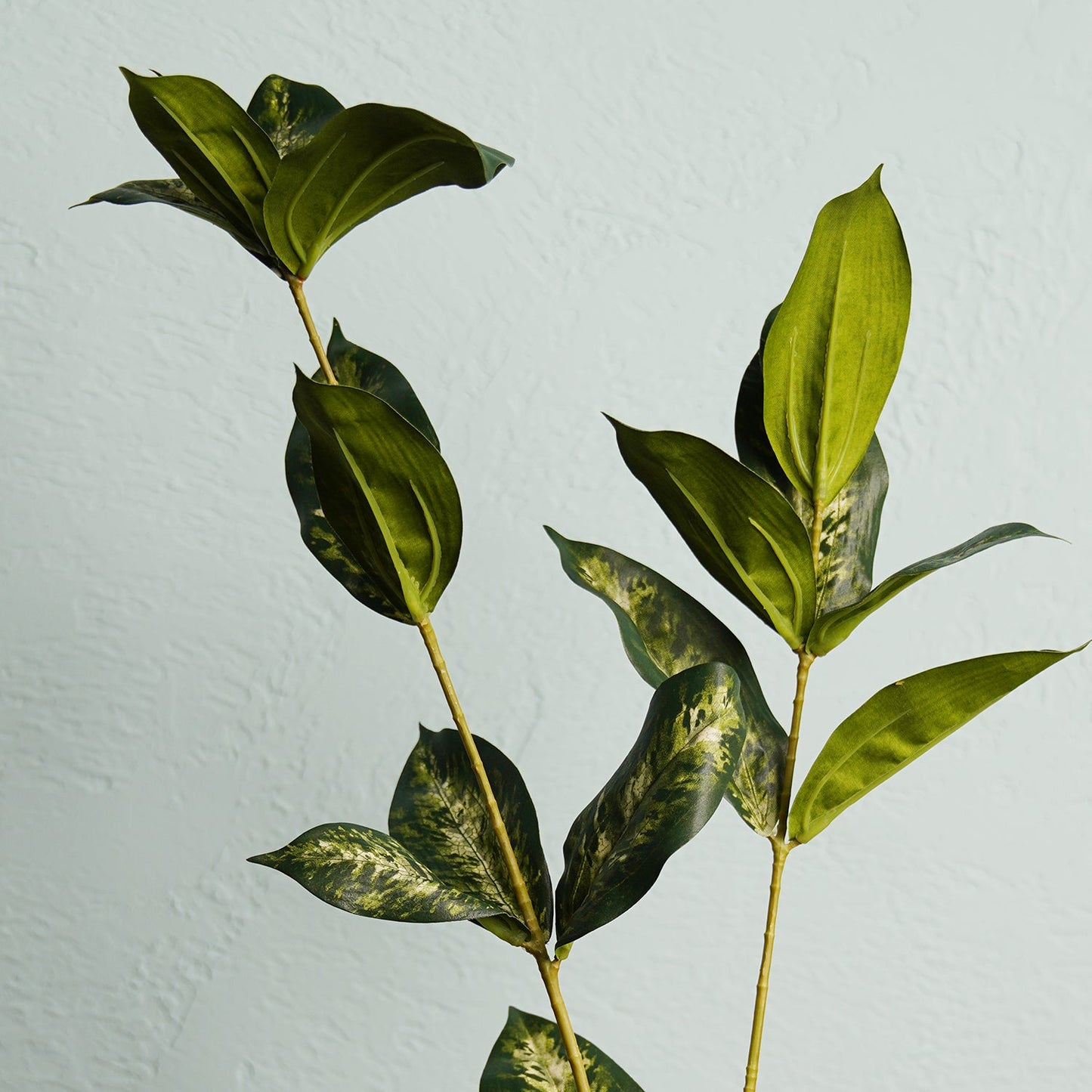 Draceana Leaf Spray