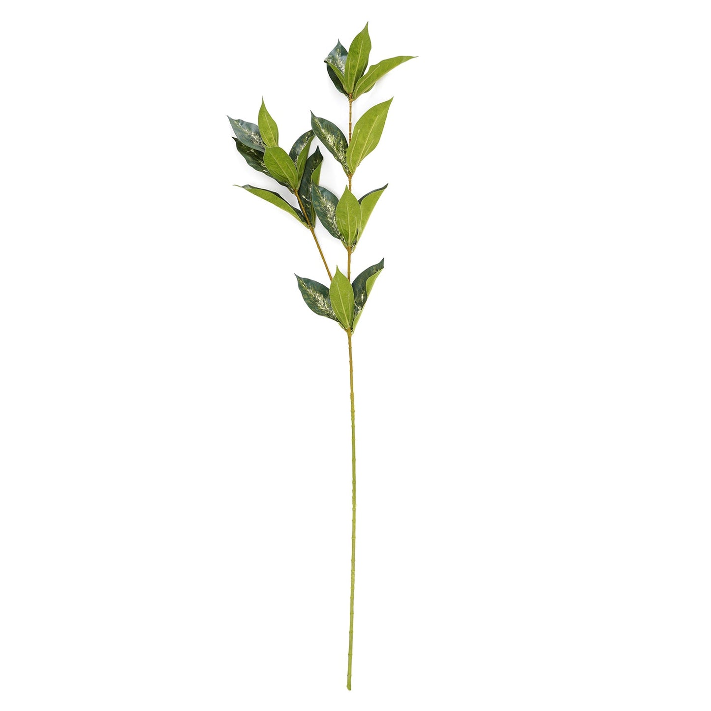 Draceana Leaf Spray
