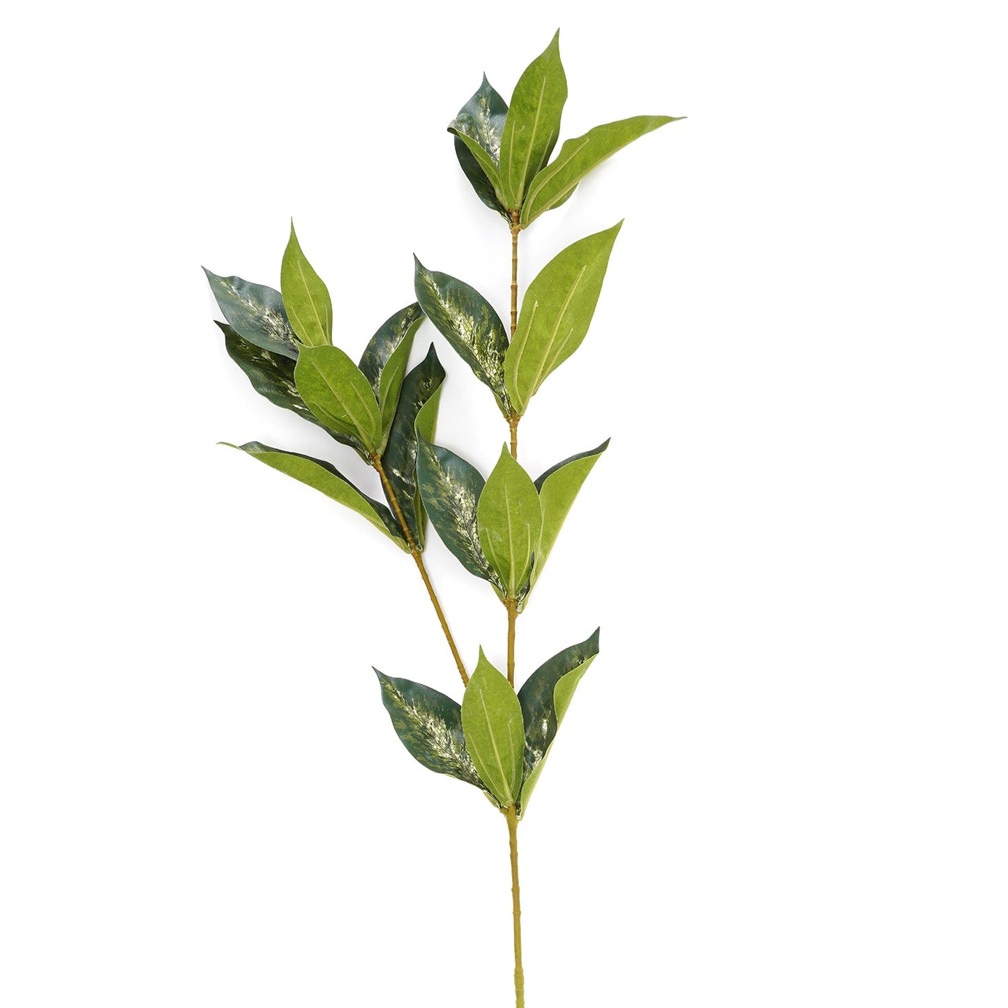 Draceana Leaf Spray