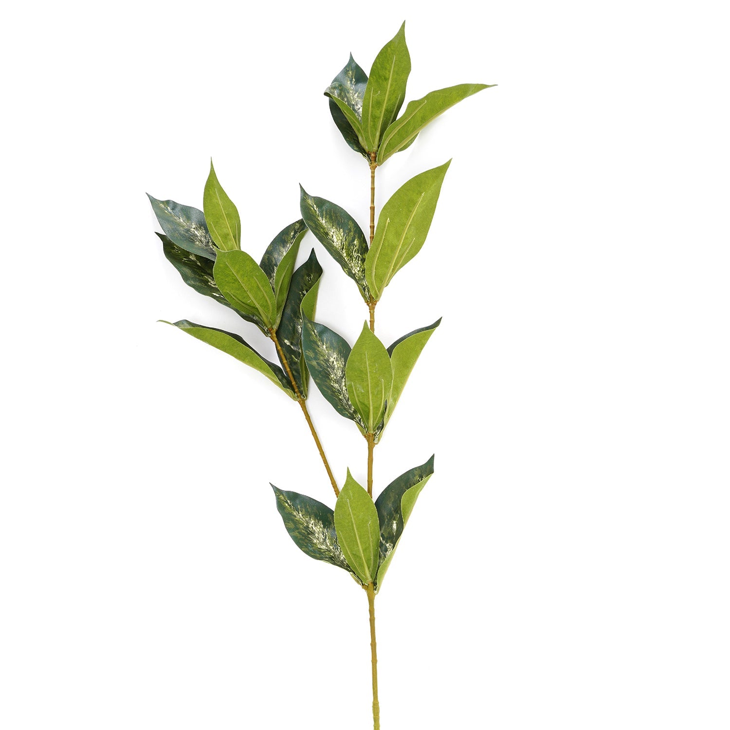 Draceana Leaf Spray
