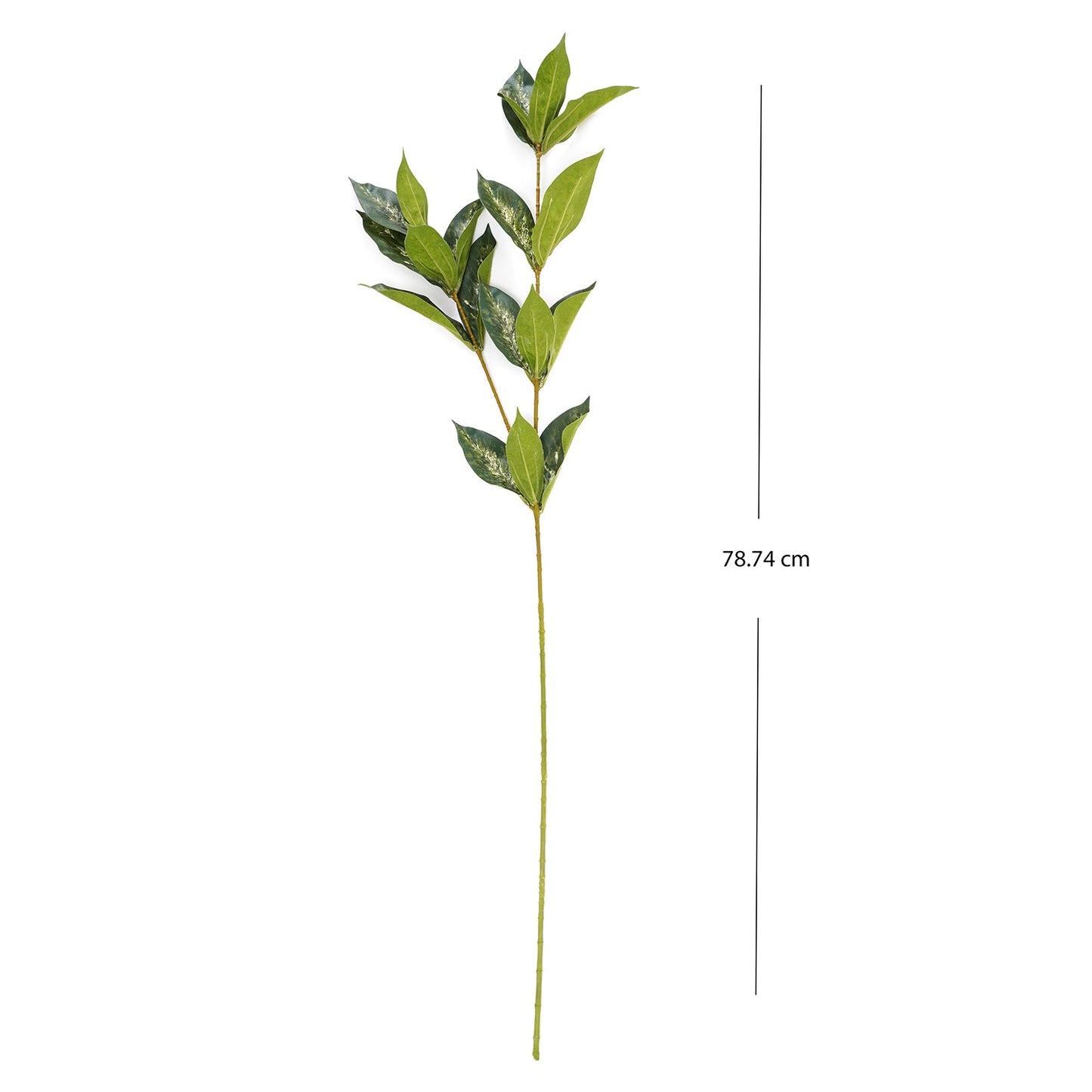Draceana Leaf Spray
