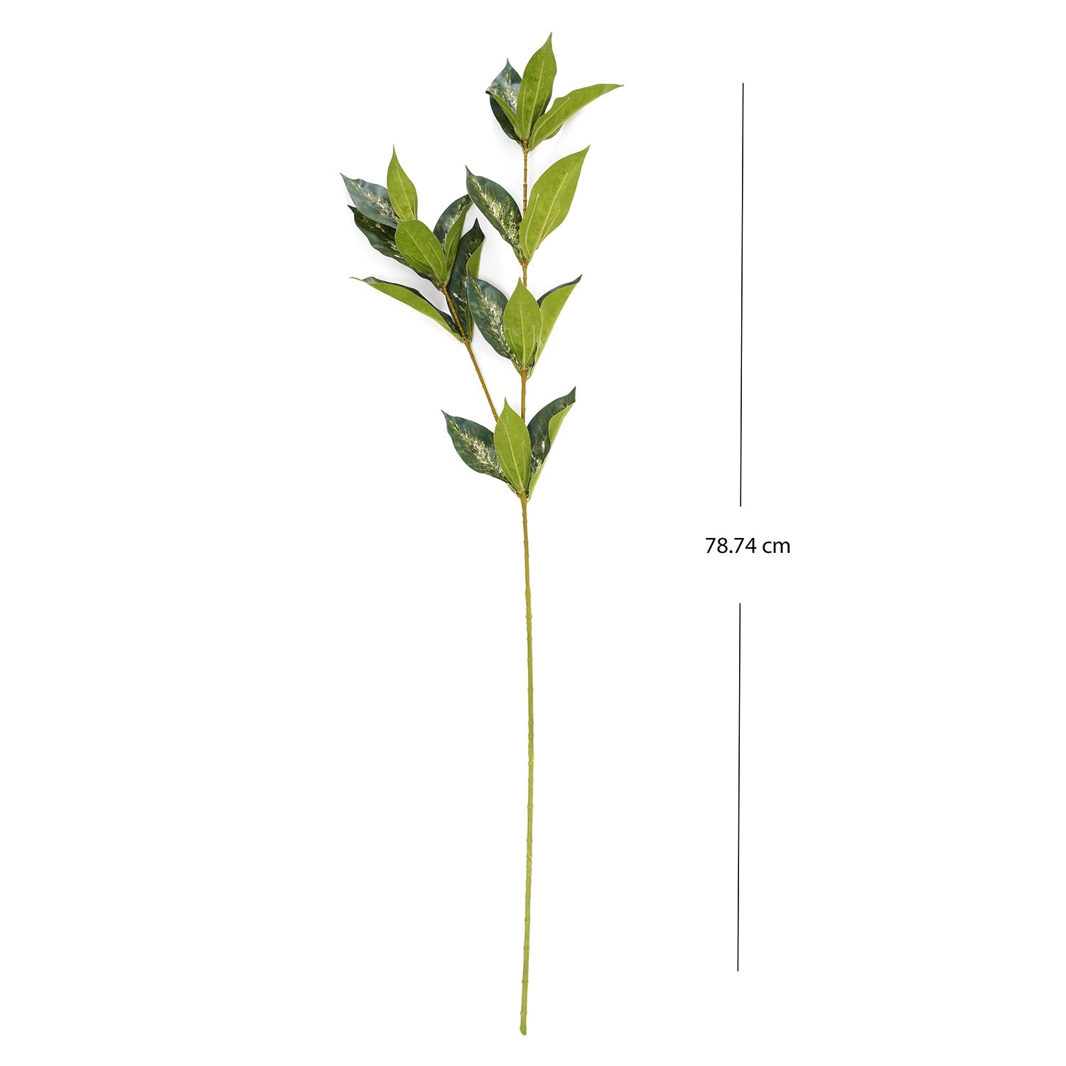 Draceana Leaf Spray
