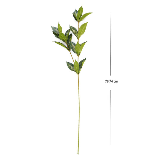 Draceana Leaf Spray