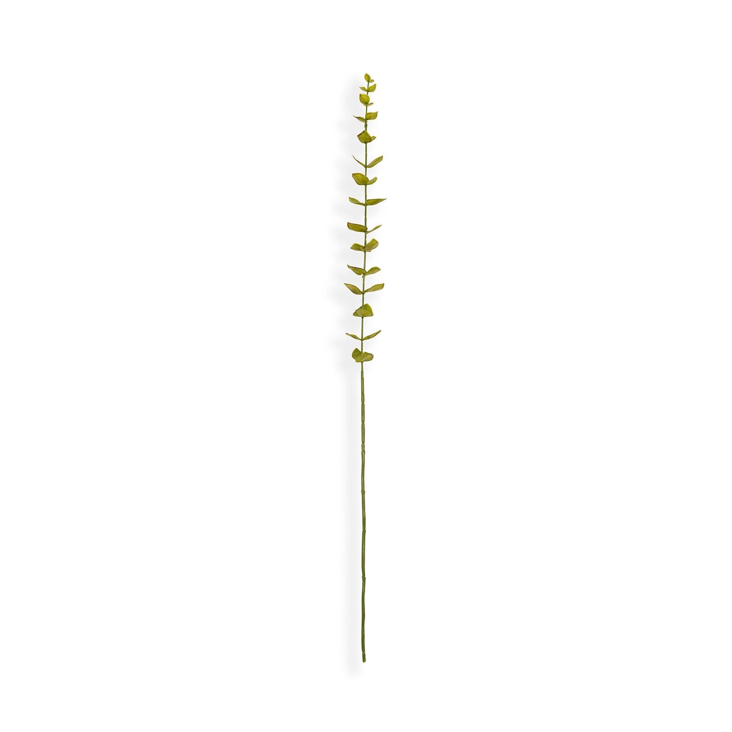 Green Artificial Eucalyptus Flower Leaf - Single