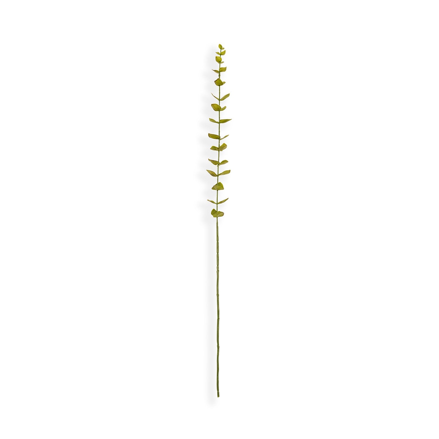 Green Artificial Eucalyptus Flower Leaf - Single