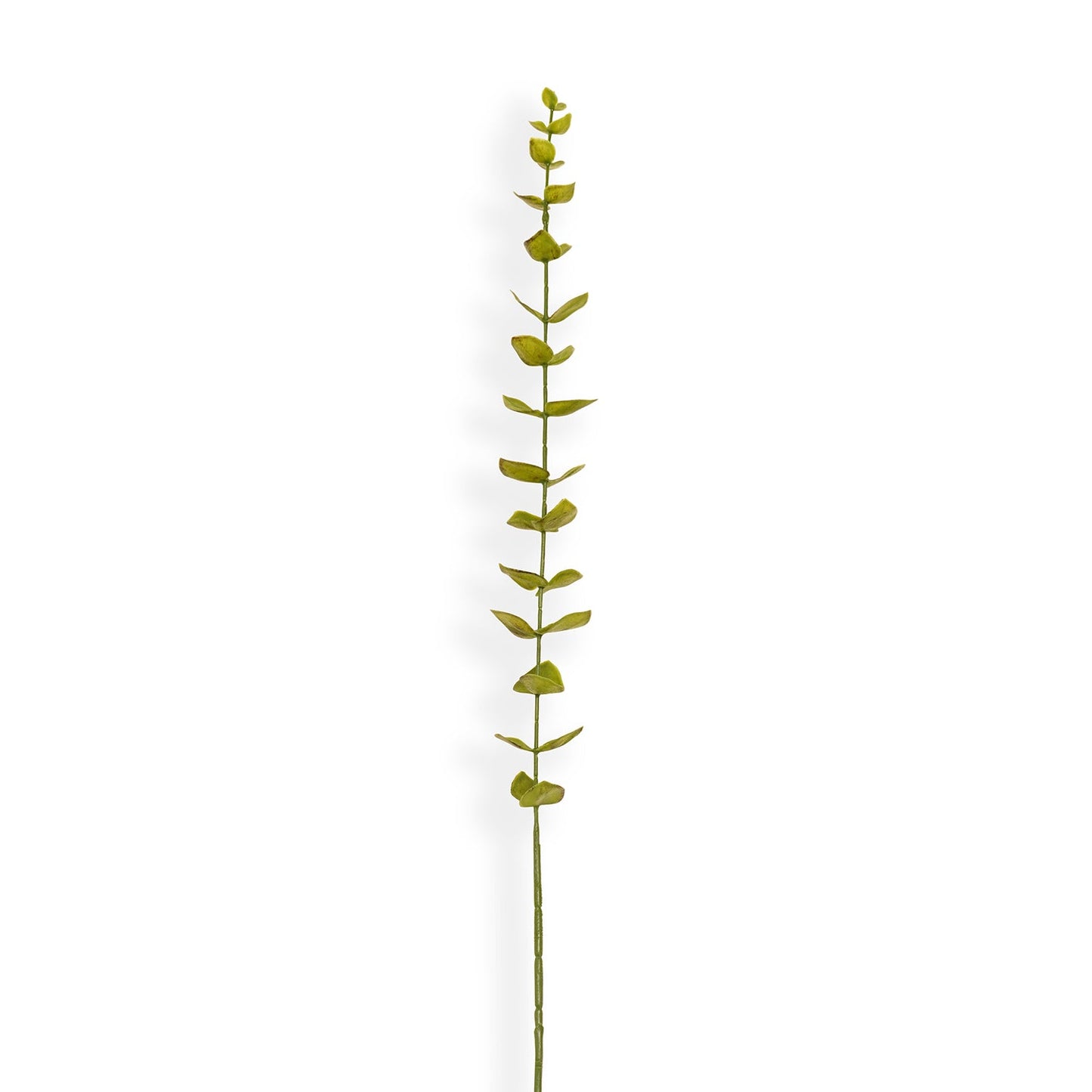 Green Artificial Eucalyptus Flower Leaf - Single