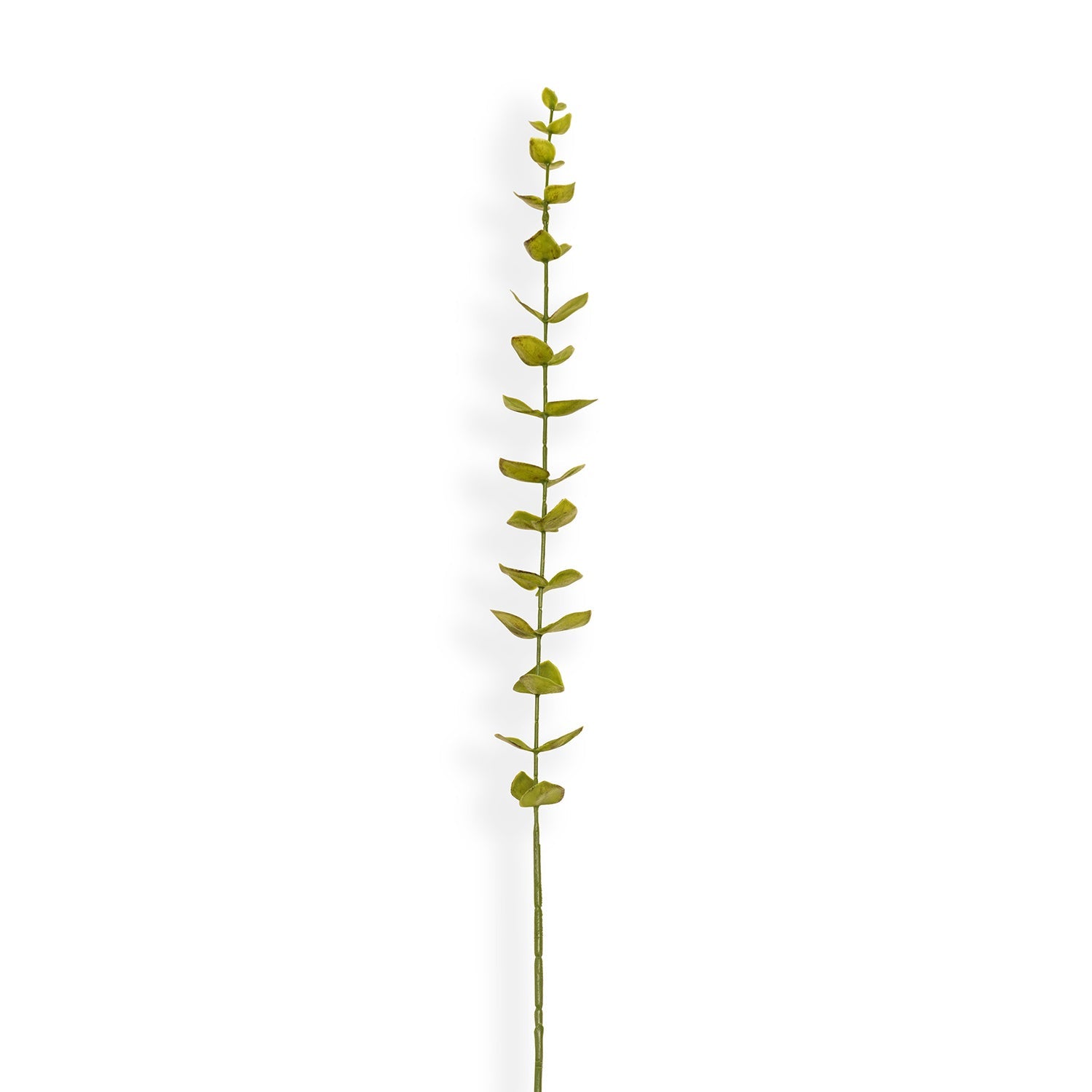 Green Artificial Eucalyptus Flower Leaf - Single