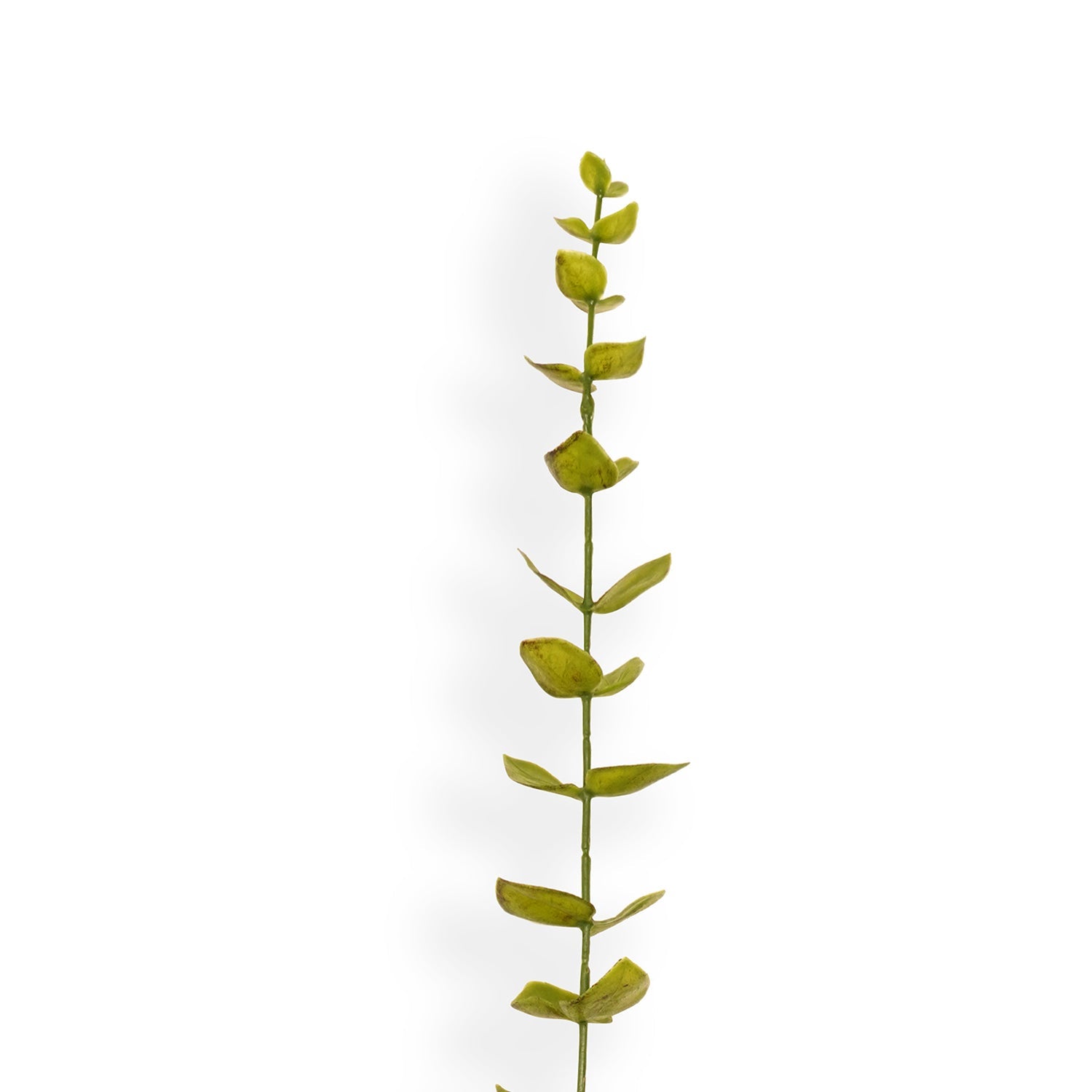 Green Artificial Eucalyptus Flower Leaf - Single