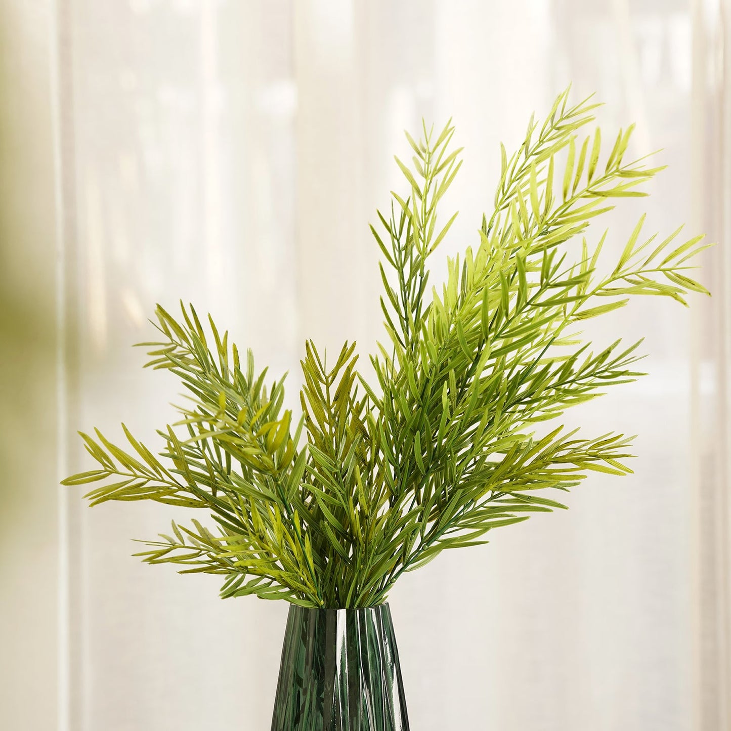 Asparagus Faicatus Spray