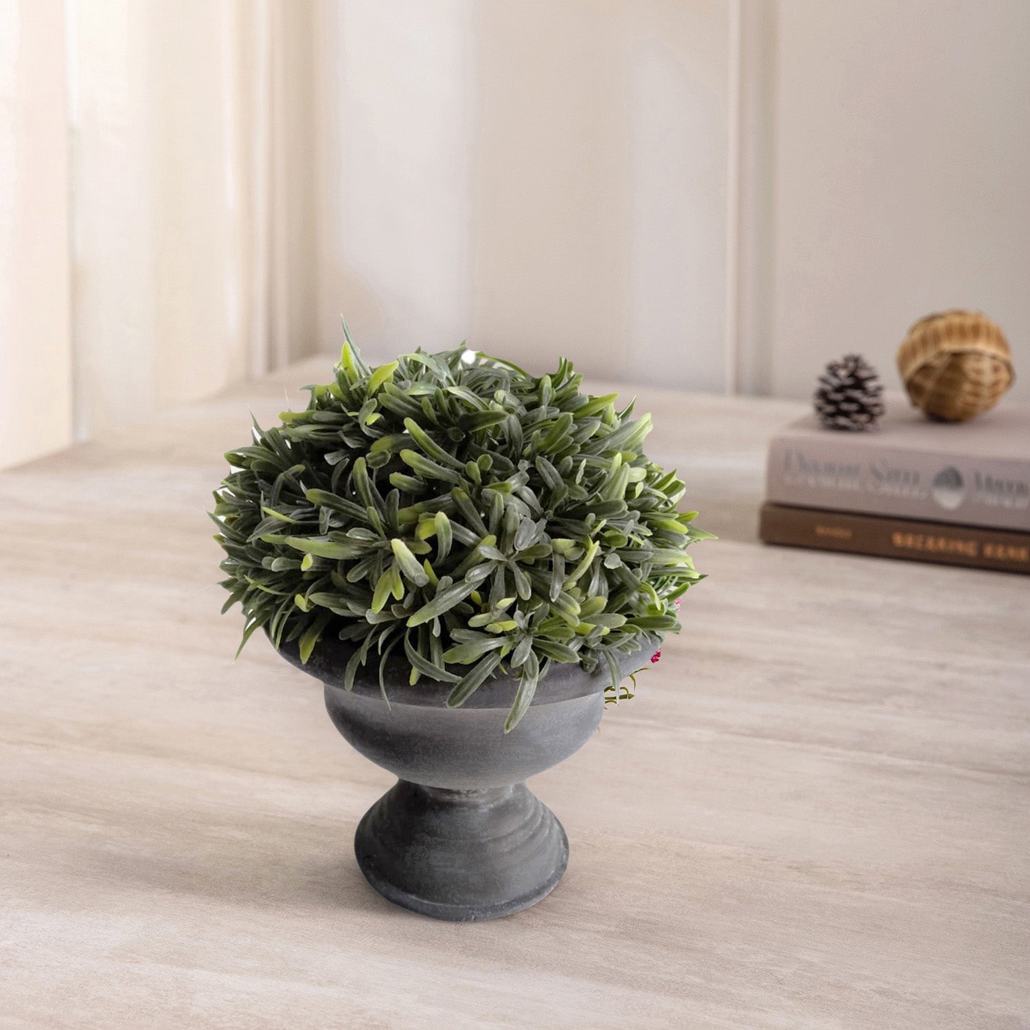 Rosemary In Paper Mache Urn