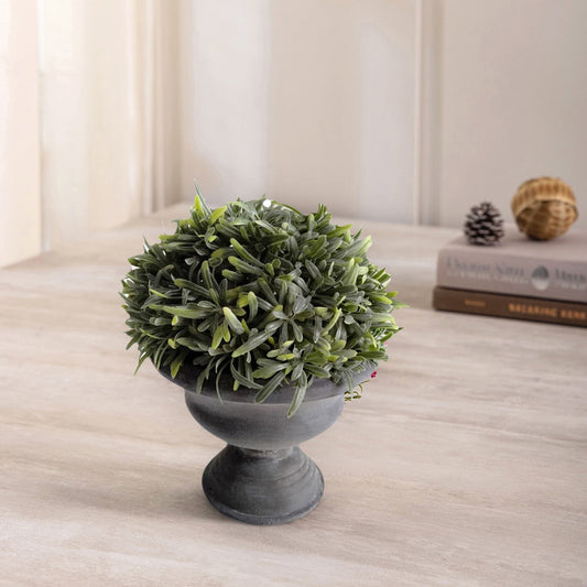 Rosemary In Paper Mache Urn