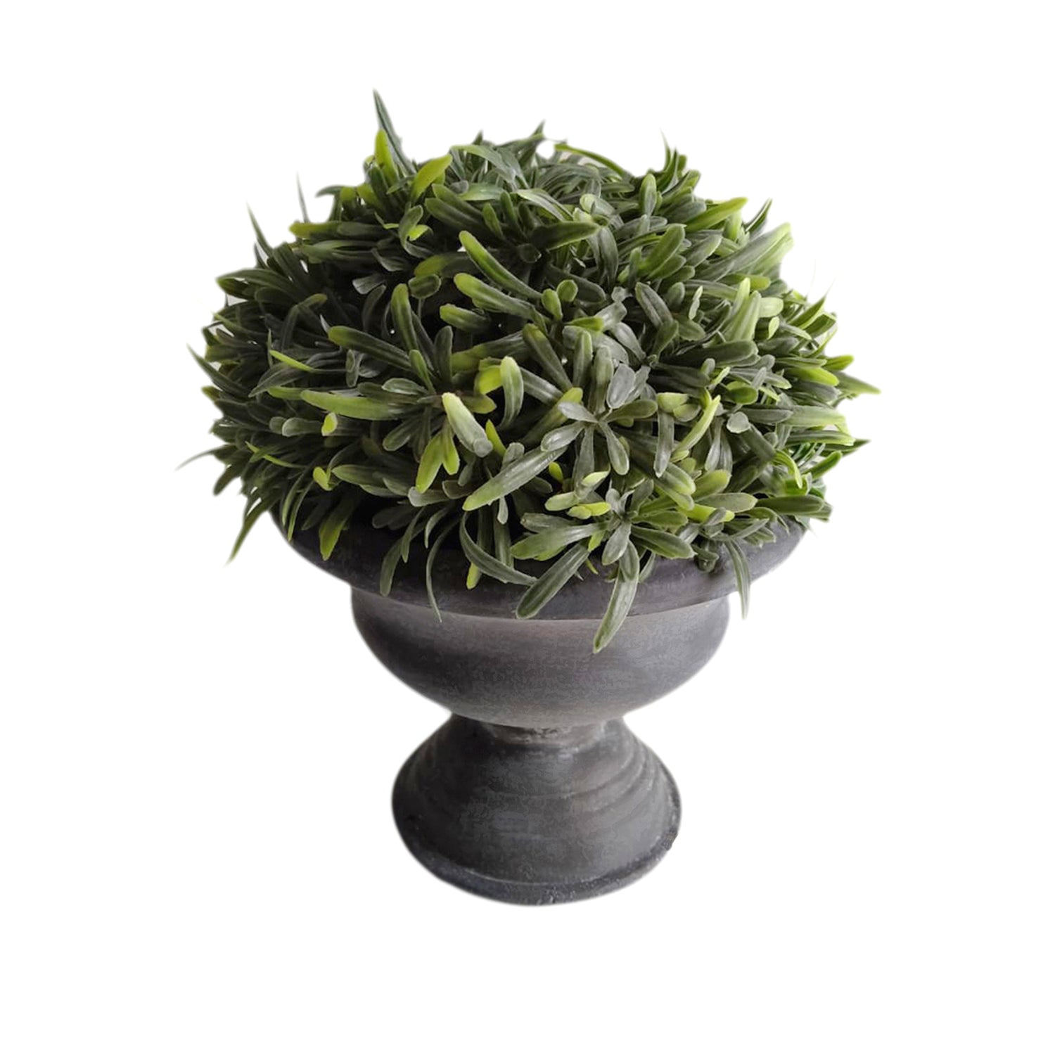 Rosemary In Paper Mache Urn