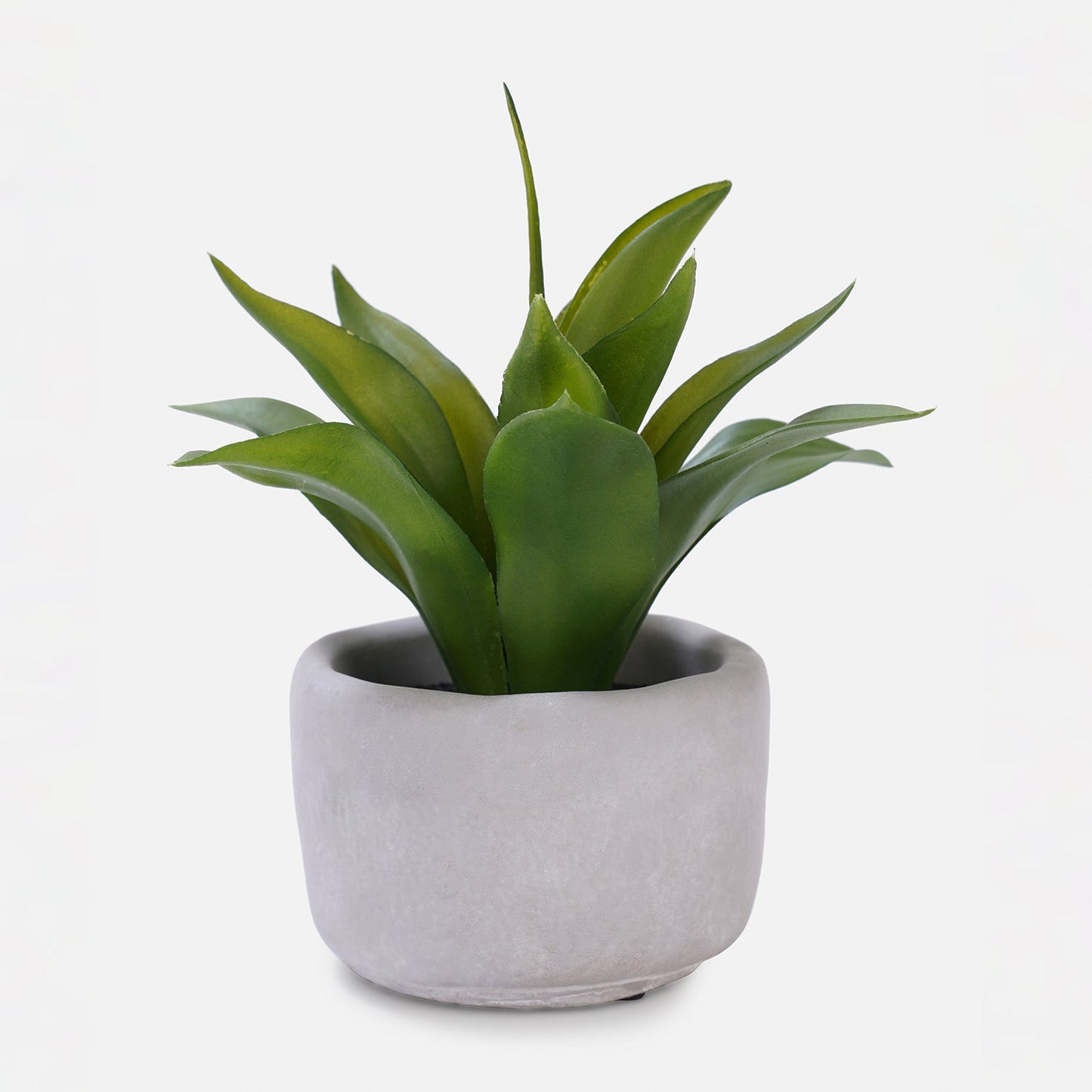 Green Artificial Agave Plant with Cement Pot