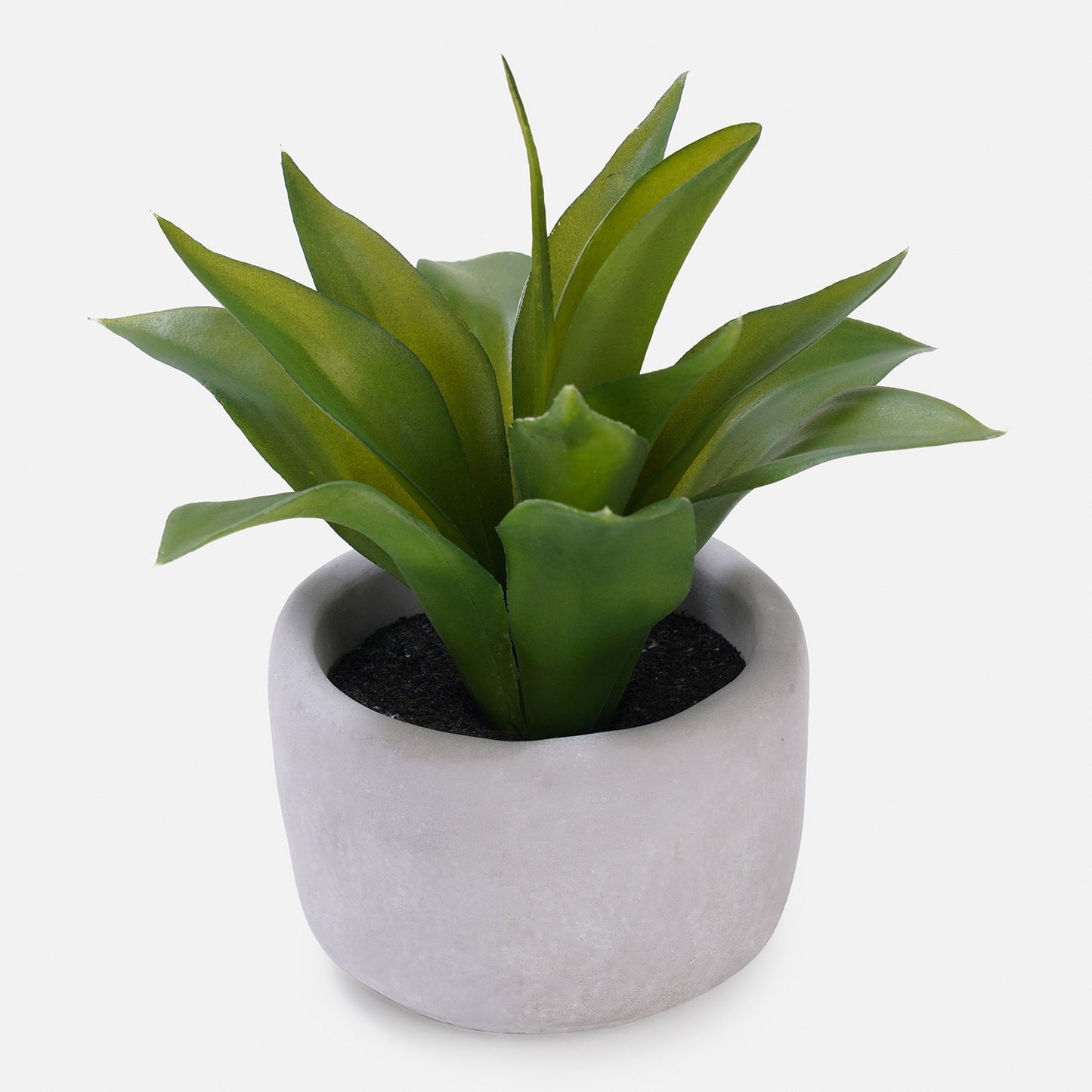 Green Artificial Agave Plant with Cement Pot
