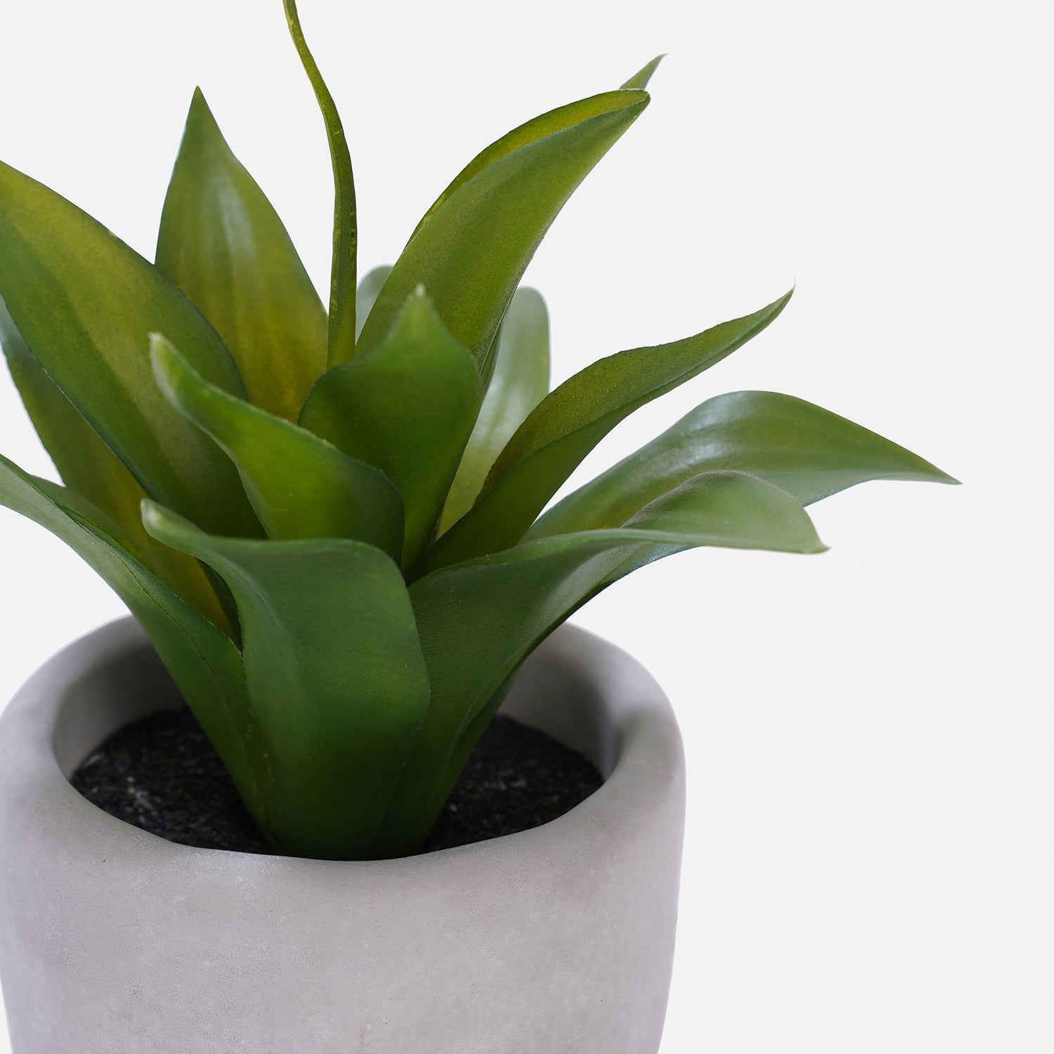 Green Artificial Agave Plant with Cement Pot