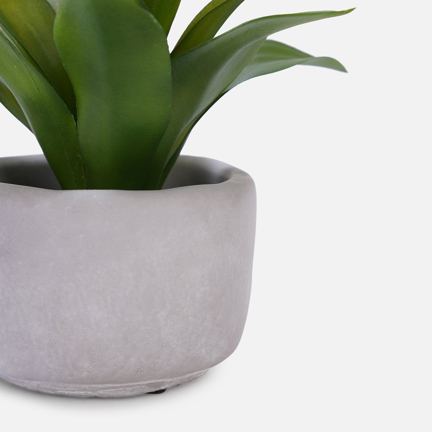 Green Artificial Agave Plant with Cement Pot