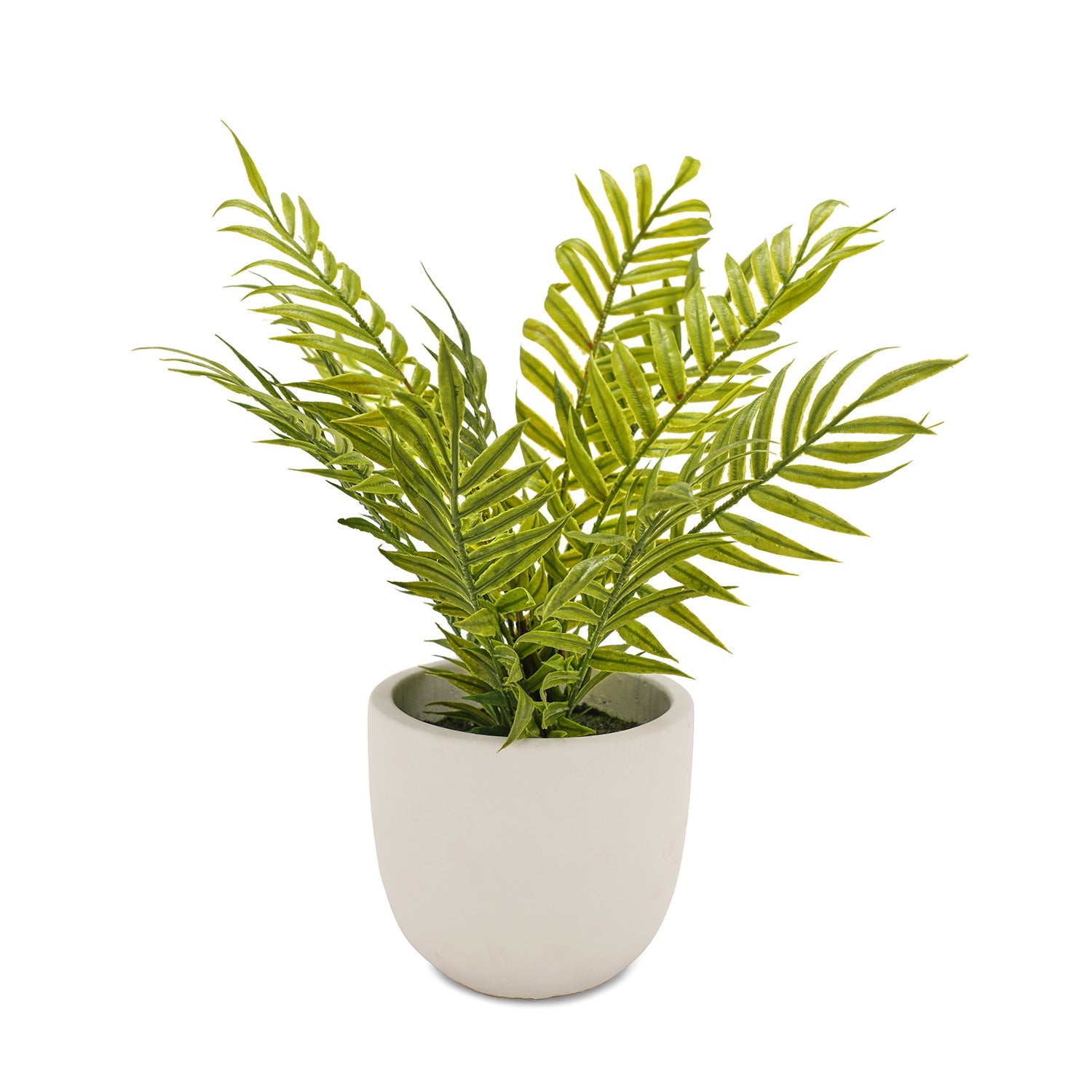 Green Faux Boston Fern With Cement Pot