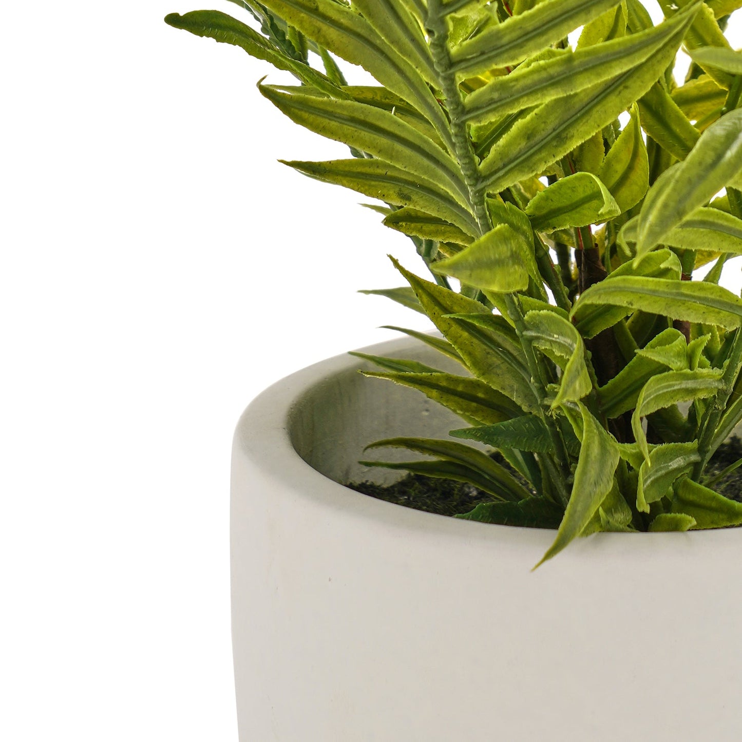 Green Faux Boston Fern With Cement Pot