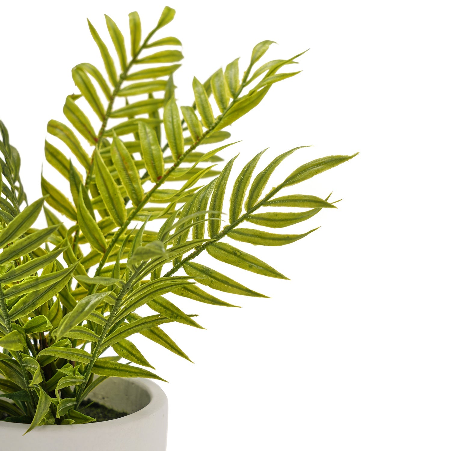 Green Faux Boston Fern With Cement Pot
