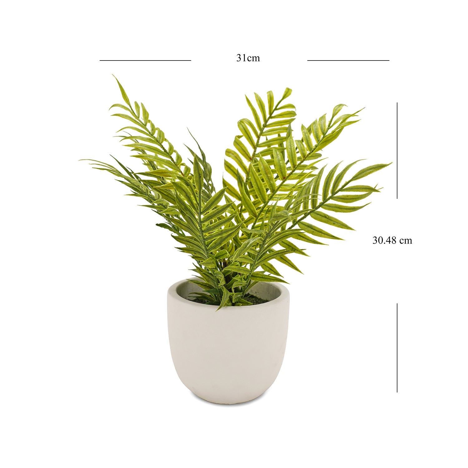 Green Faux Boston Fern With Cement Pot
