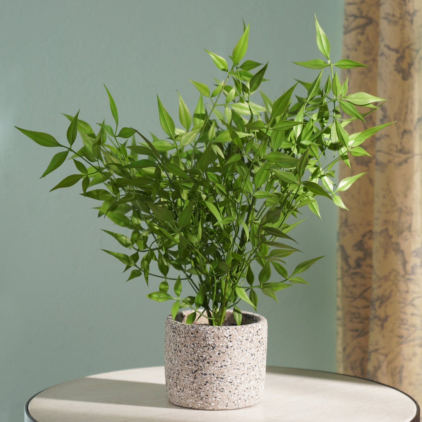 Green Faux Plant With Cement Pot