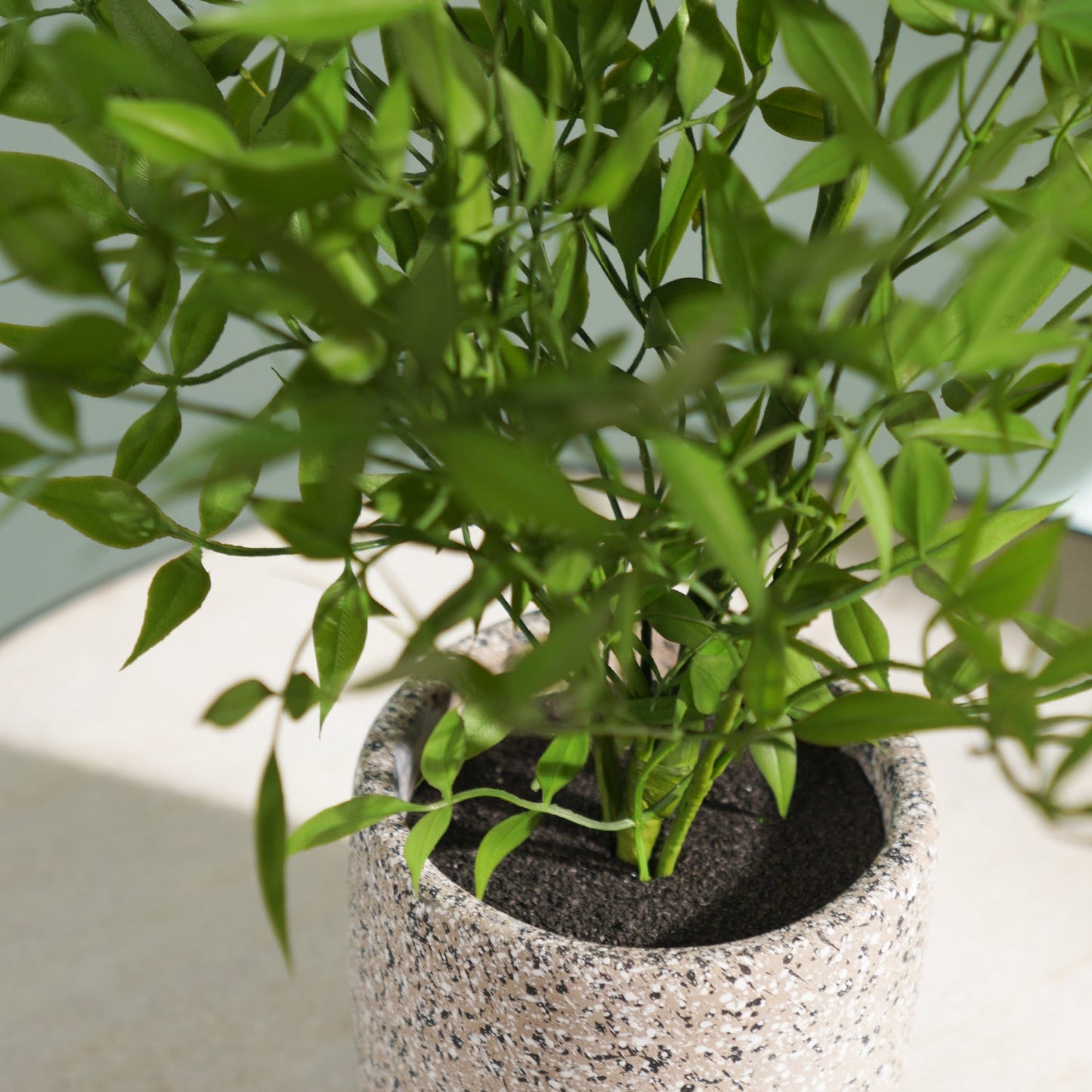 Green Faux Plant With Cement Pot