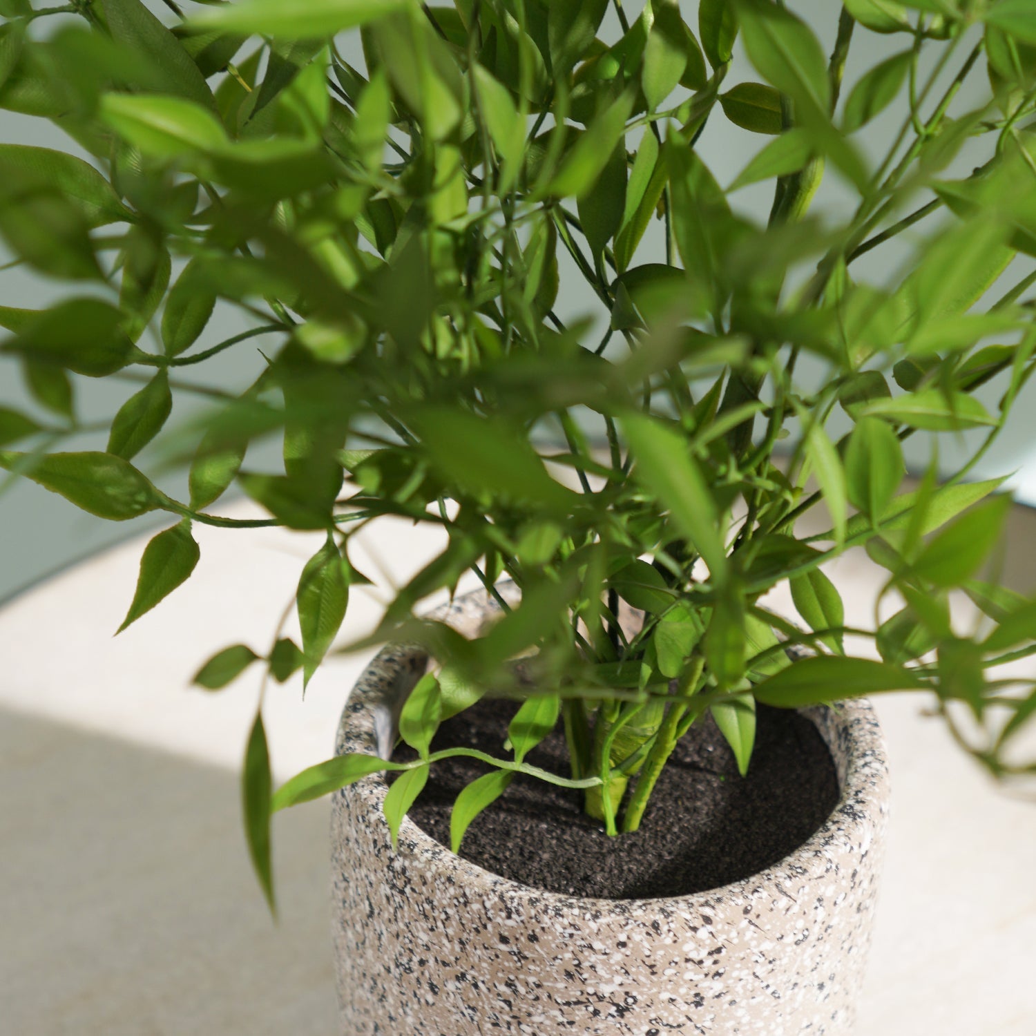 Green Faux Plant With Cement Pot