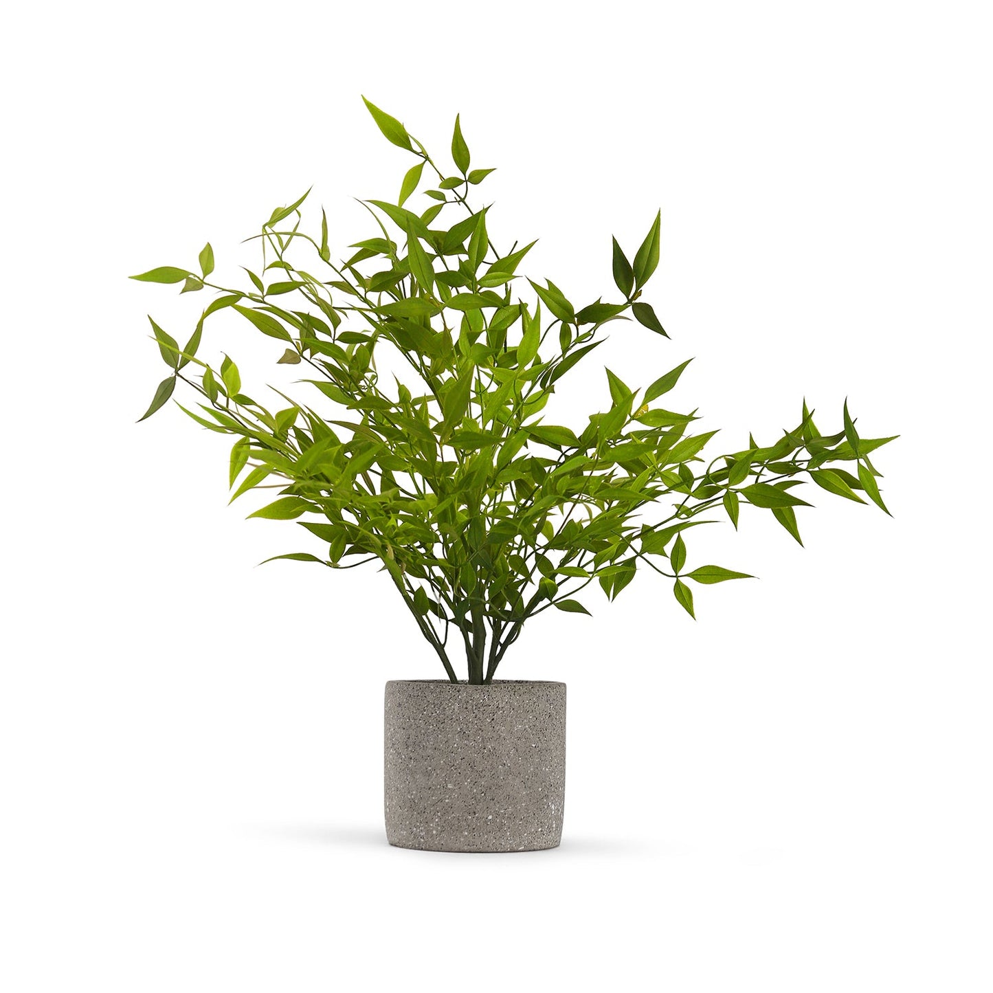 Green Faux Plant With Cement Pot