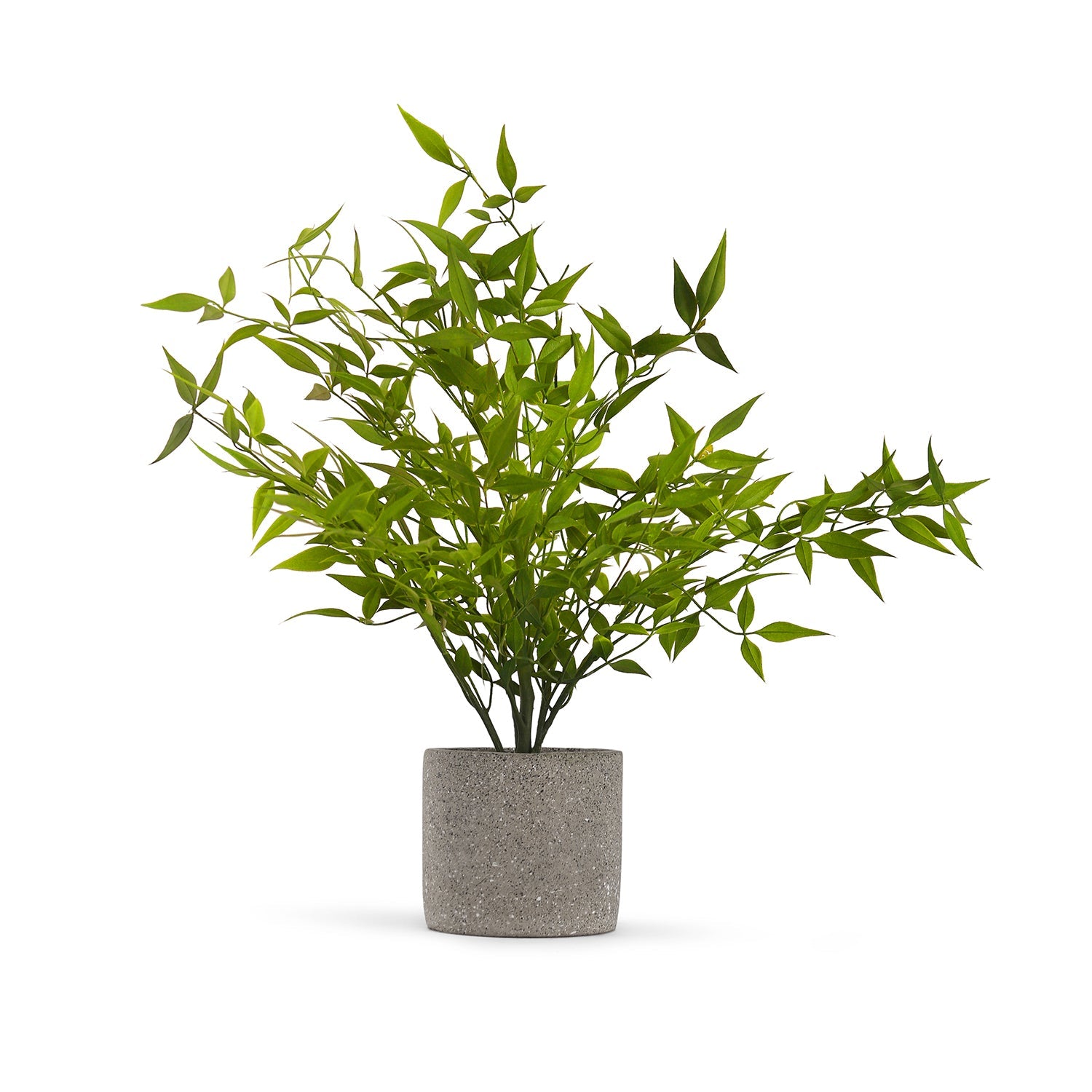 Green Faux Plant With Cement Pot