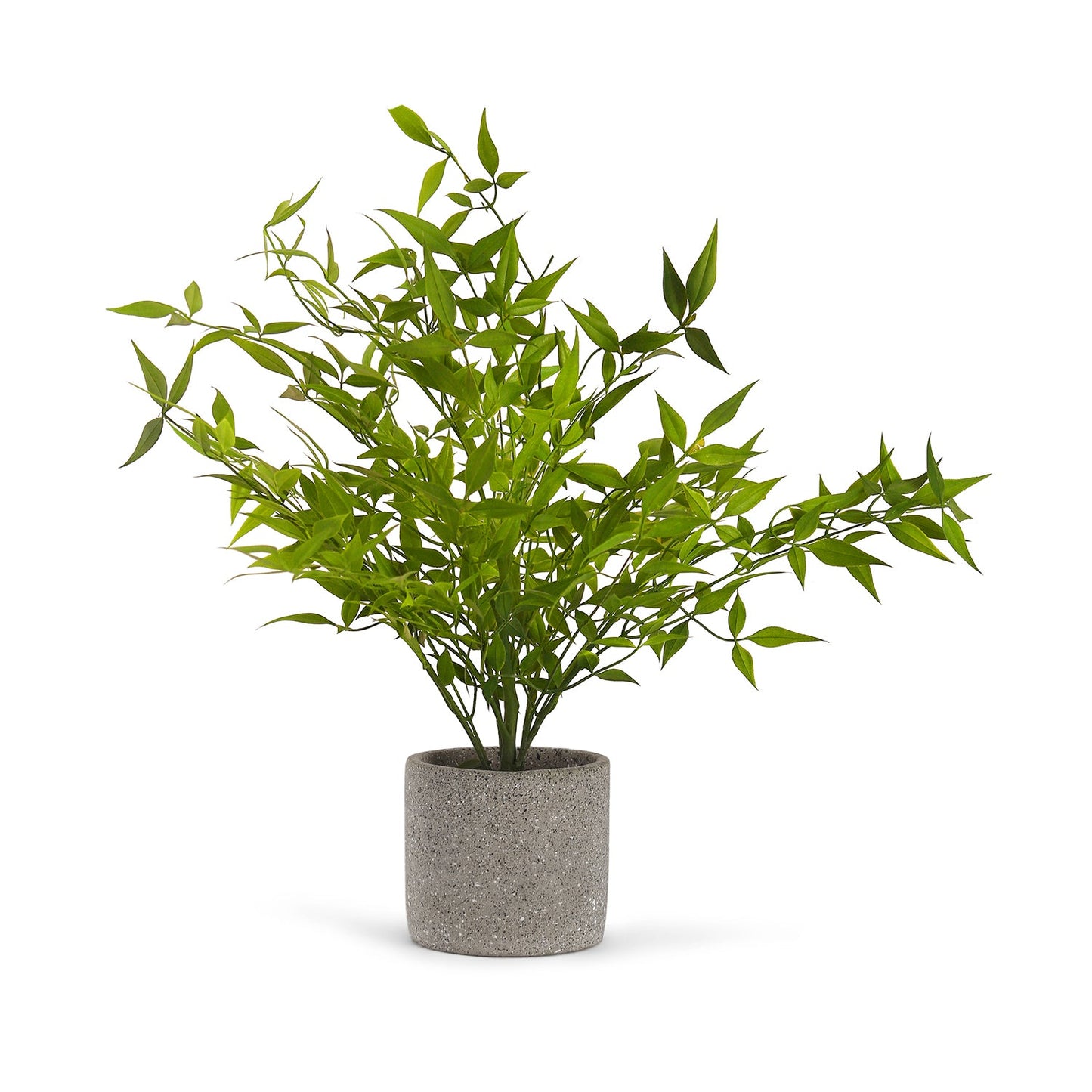 Green Faux Plant With Cement Pot