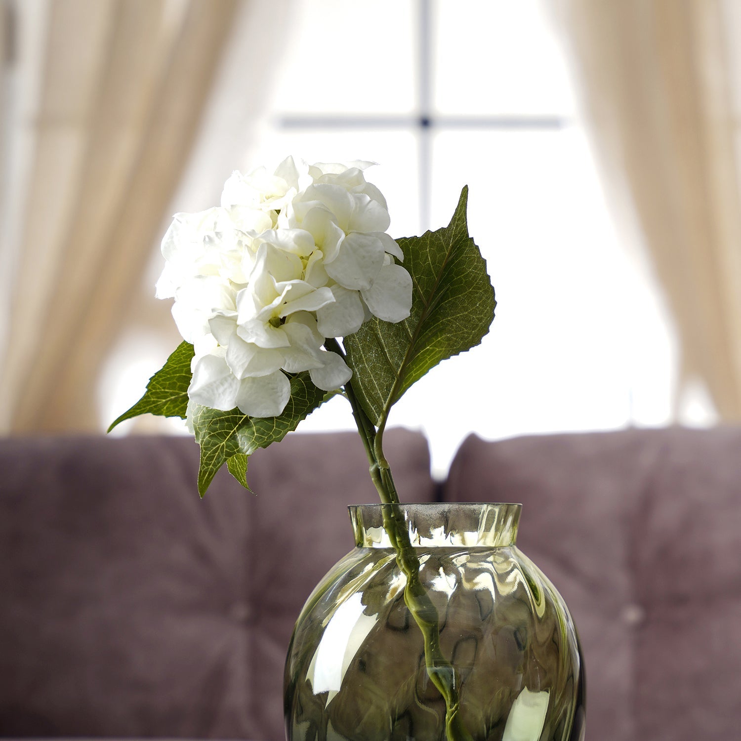 Hydrangea Ivory Stem