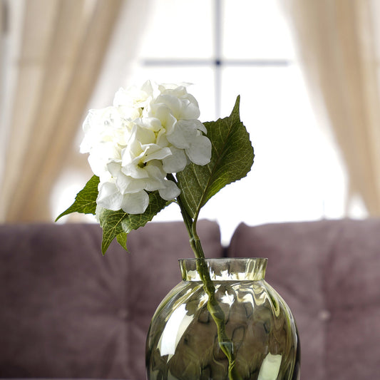 Hydrangea Ivory Stem