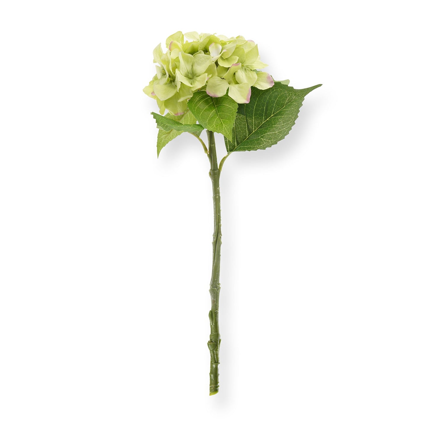 Green Hydrangea Artificial Flower Stem - Single