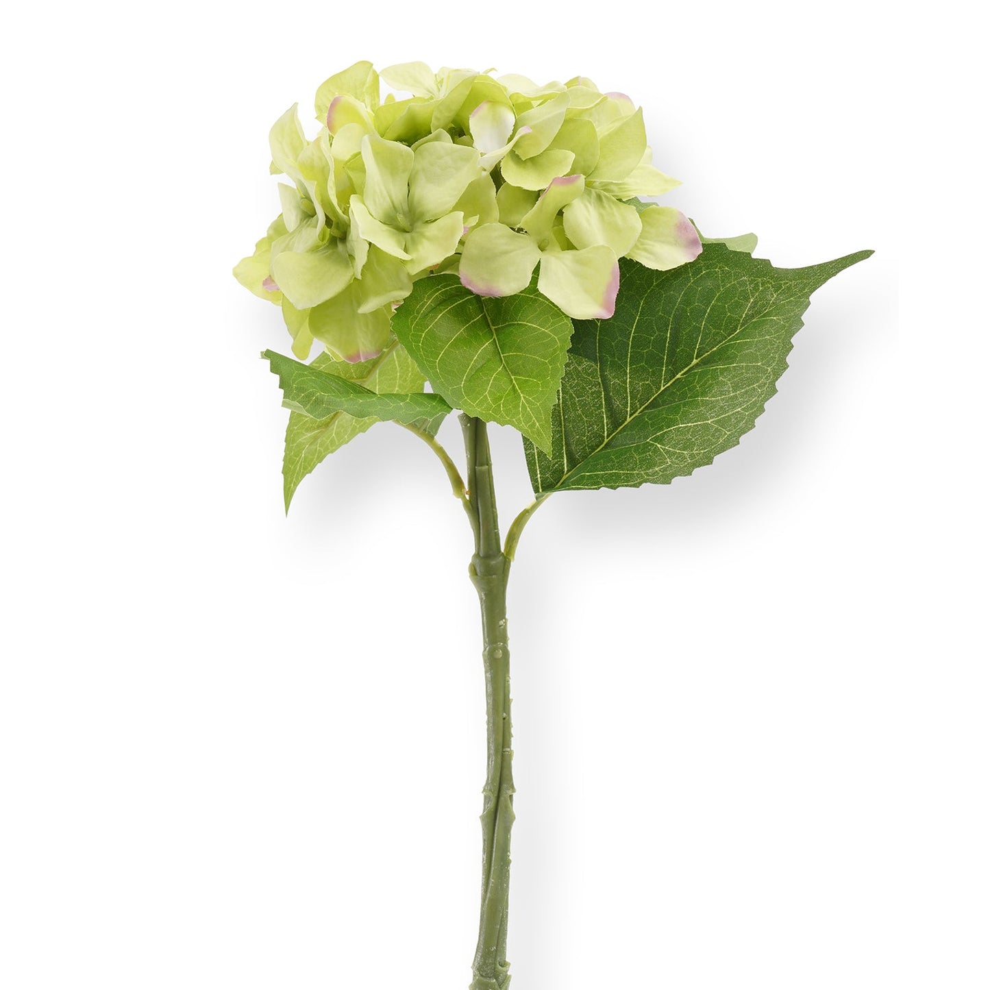 Green Hydrangea Artificial Flower Stem - Single