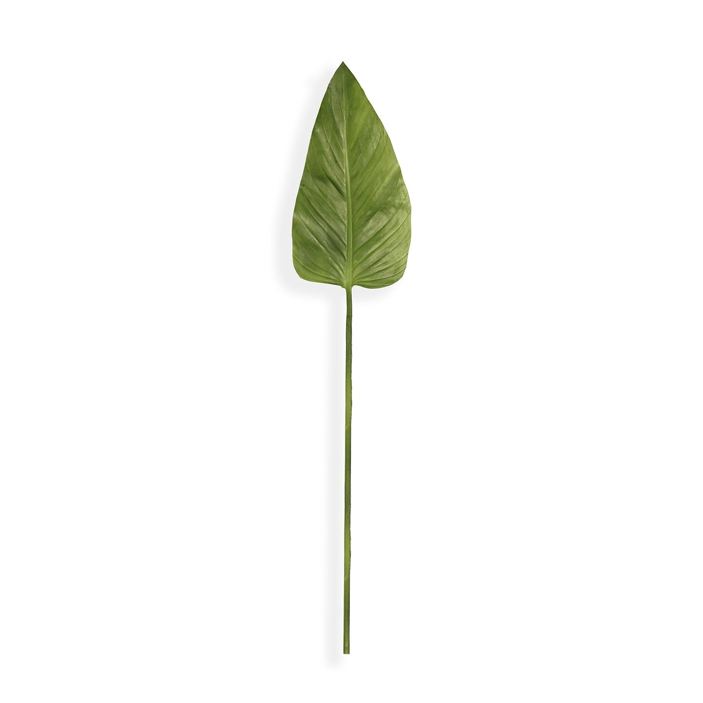 Green Calla Leaf Spray