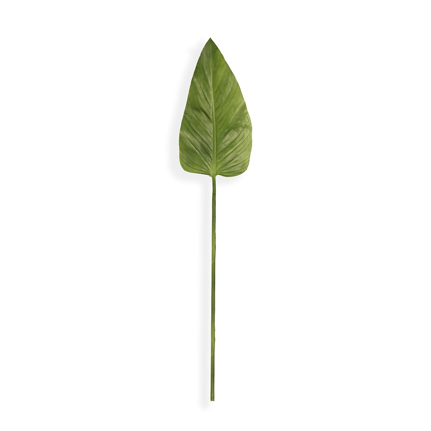 Green Calla Leaf Spray