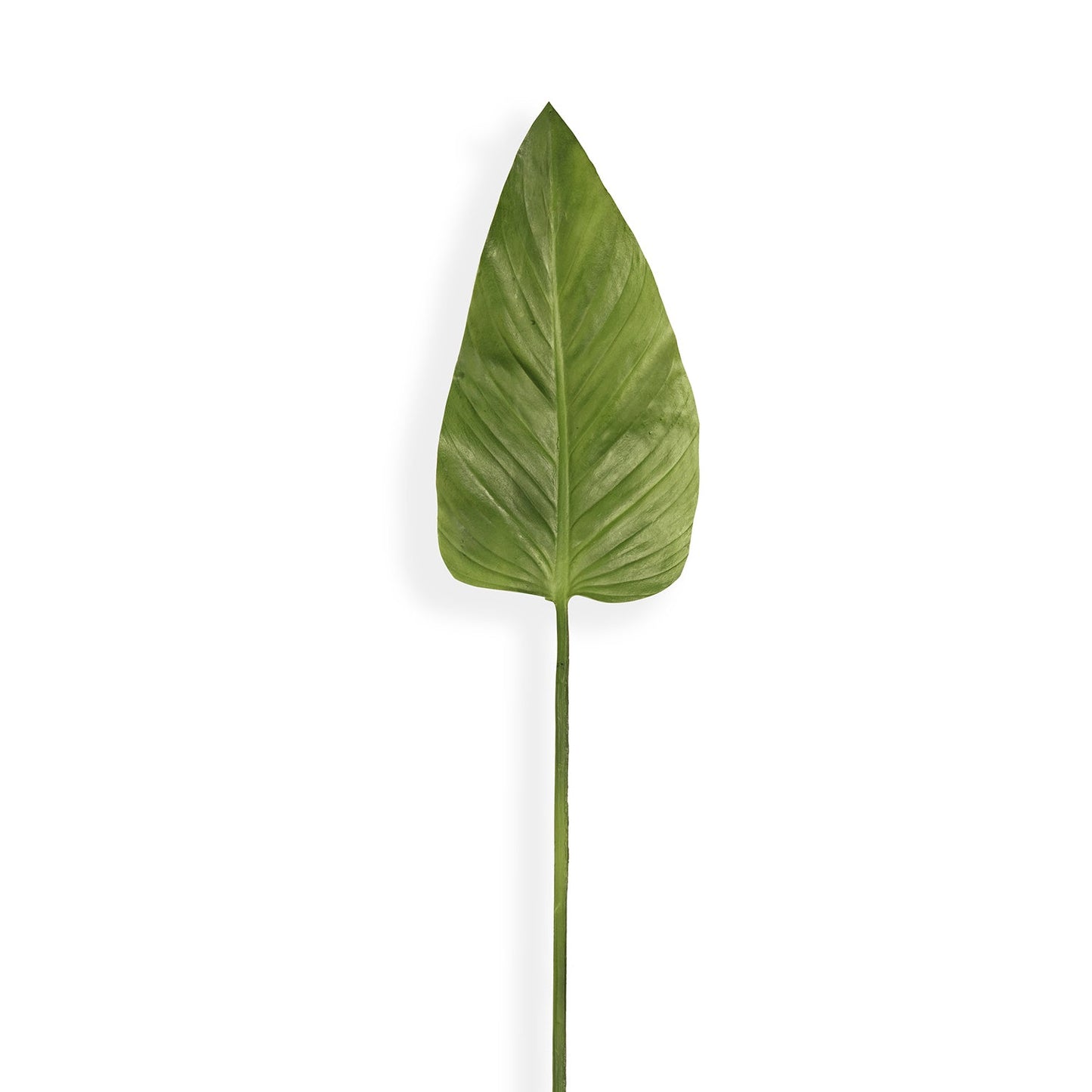 Green Calla Leaf Spray