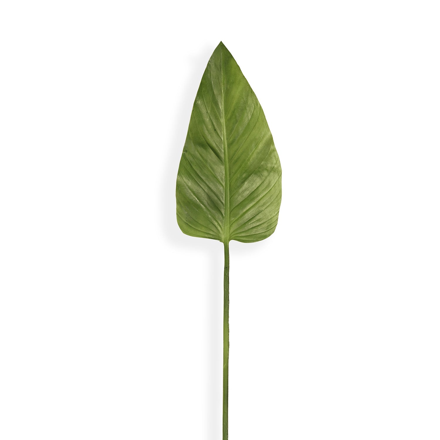 Green Calla Leaf Spray