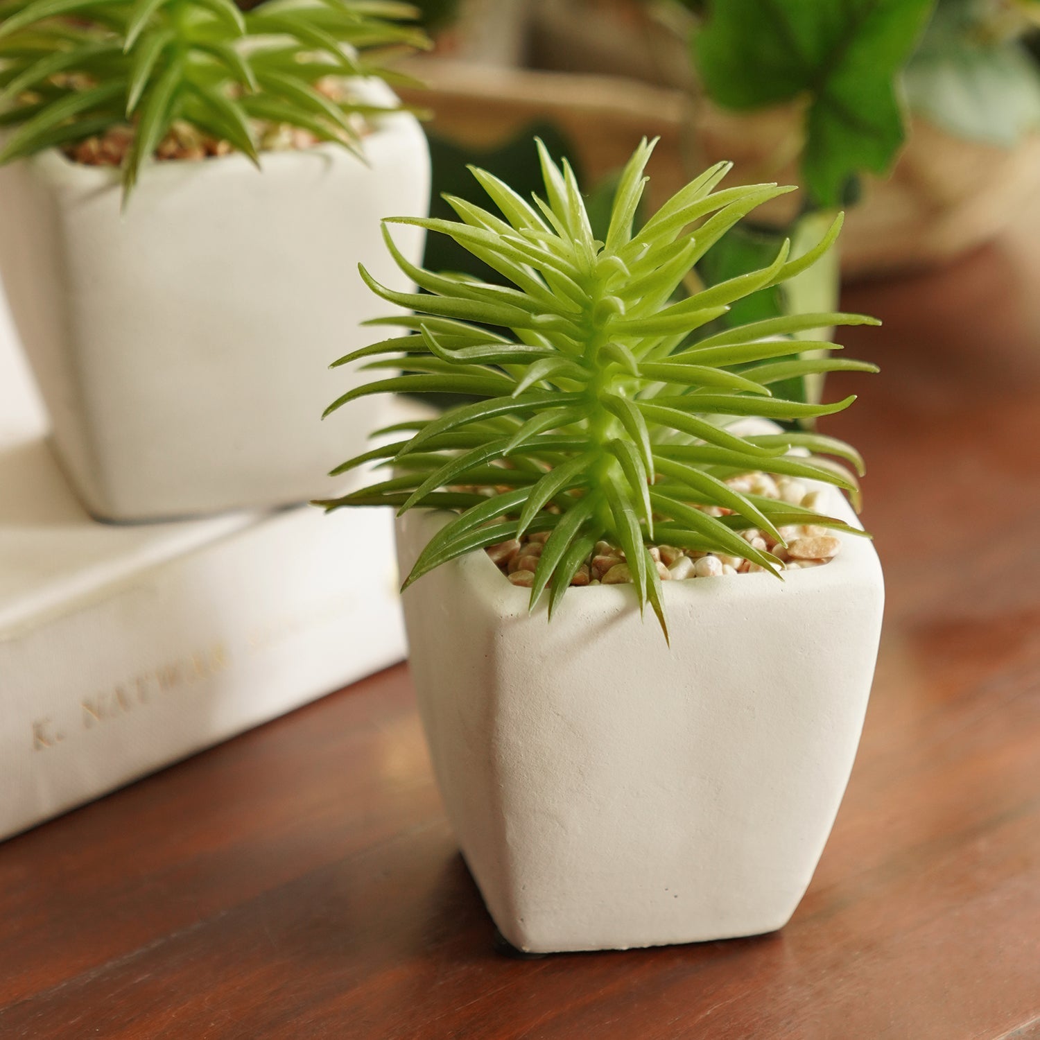 Green Artificial Cactus Succulent Plant in Cement Pot