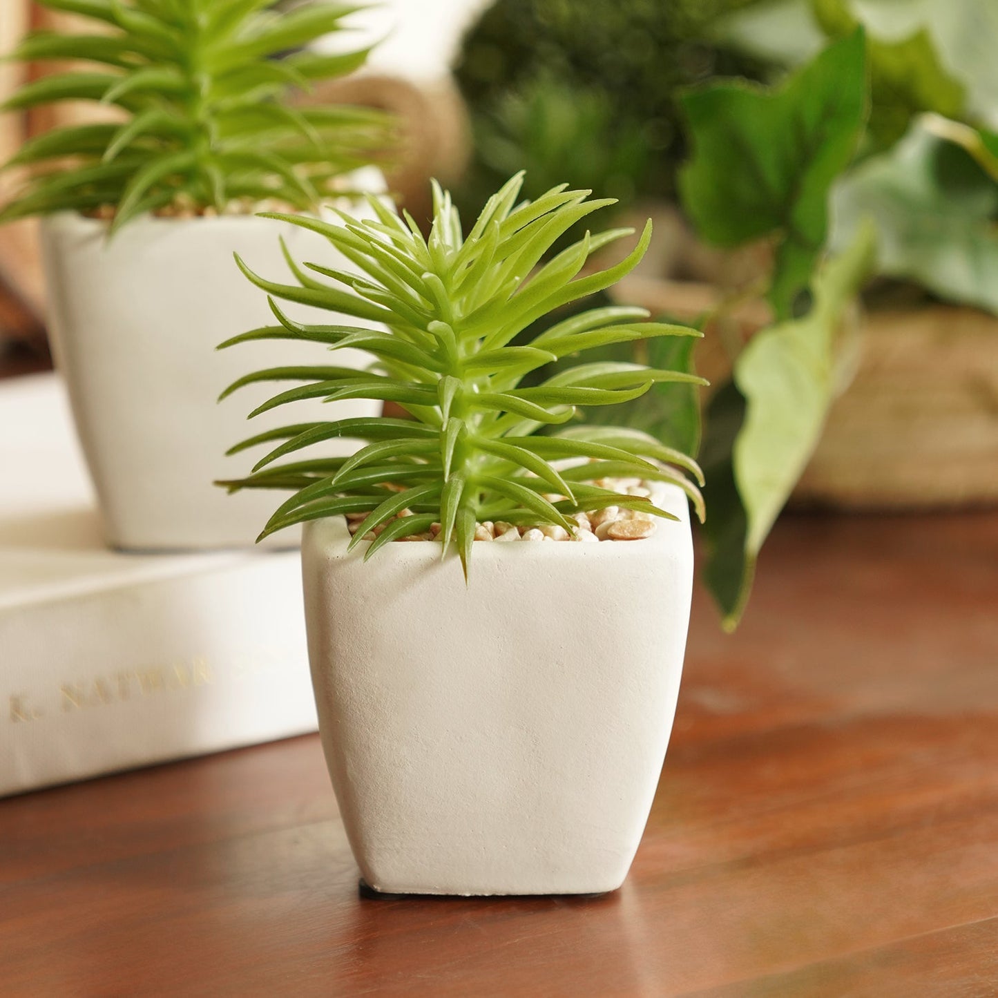 Green Artificial Cactus Succulent Plant in Cement Pot