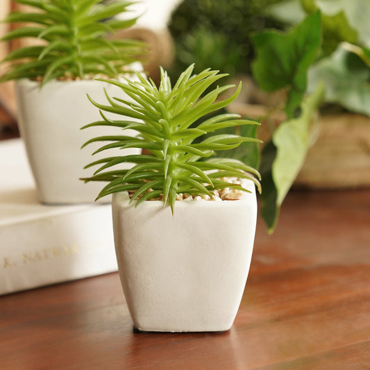 Green Artificial Cactus Succulent Plant in Cement Pot