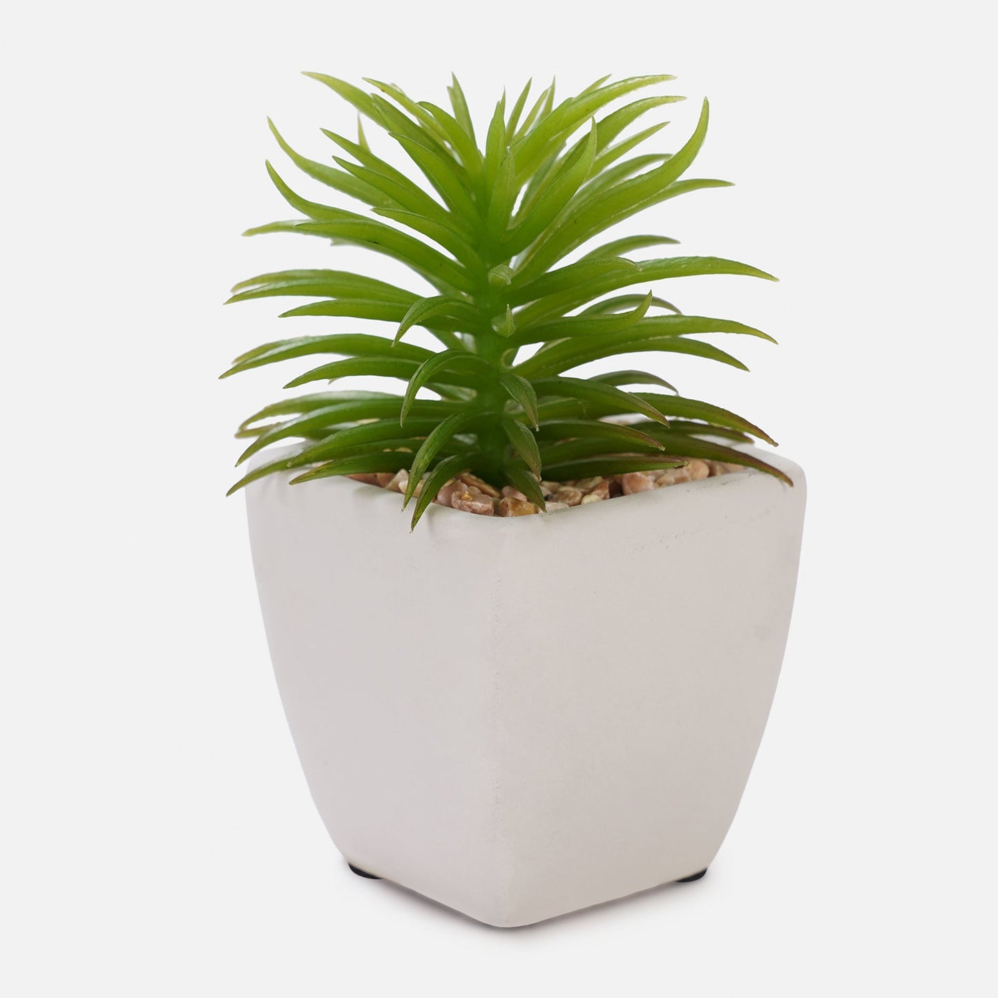Green Artificial Cactus Succulent Plant in Cement Pot