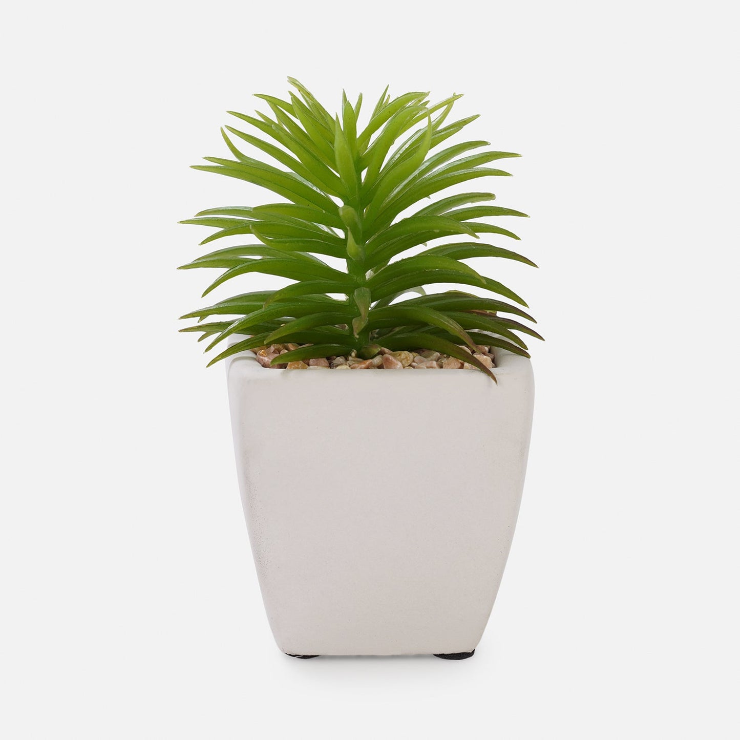 Green Artificial Cactus Succulent Plant in Cement Pot